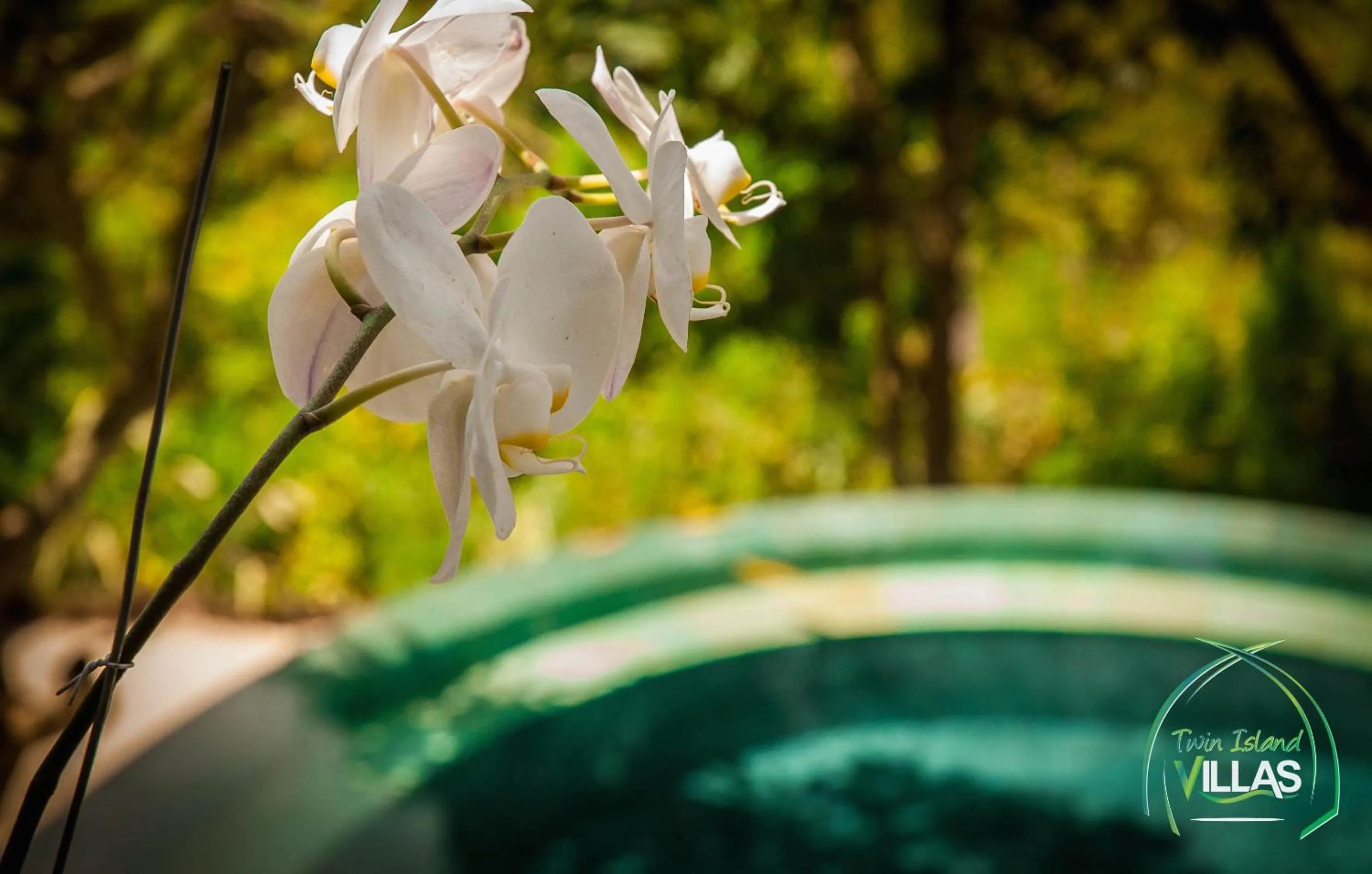 Garden in Twin Island Villas & Dive Resort