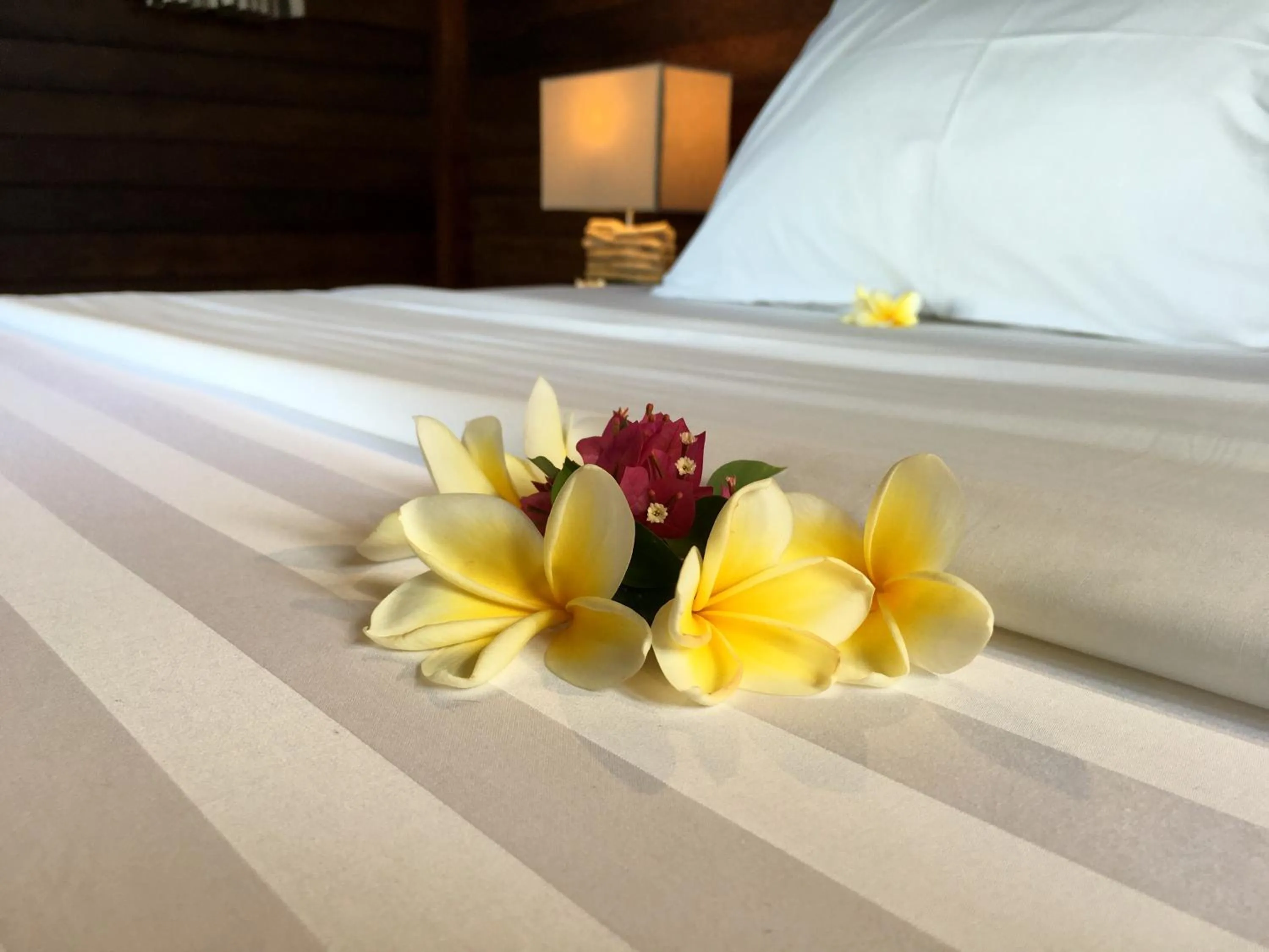 Decorative detail, Bed in Twin Island Villas & Dive Resort