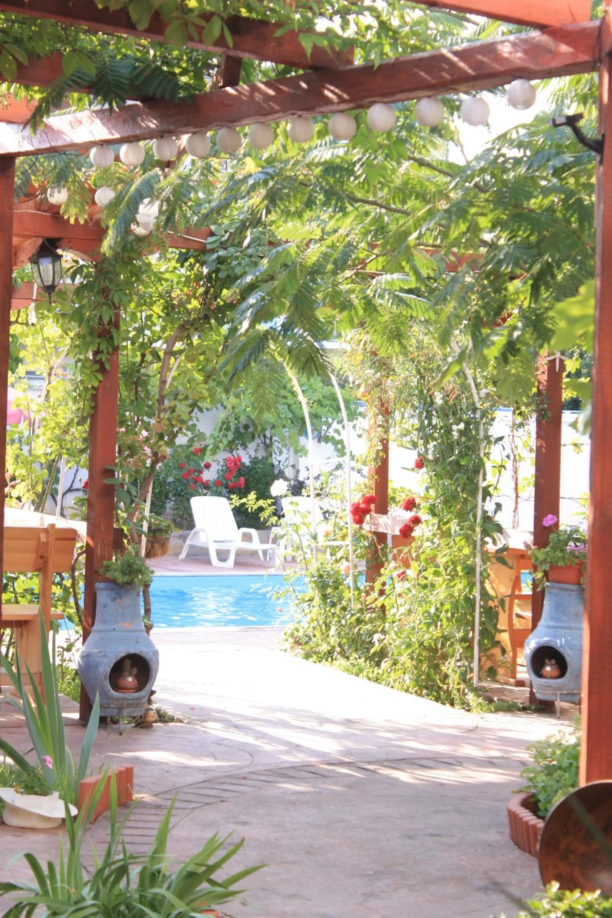 Alba Family Club Hotel