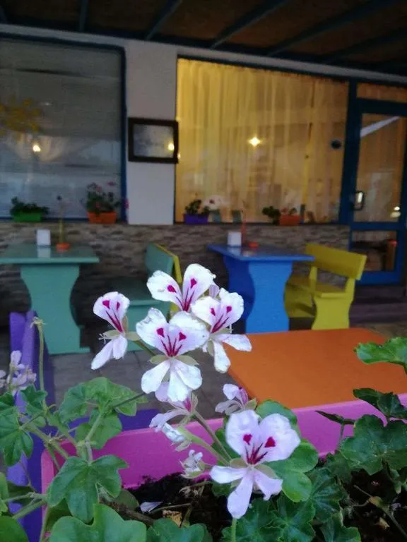 Alba Family Club Hotel