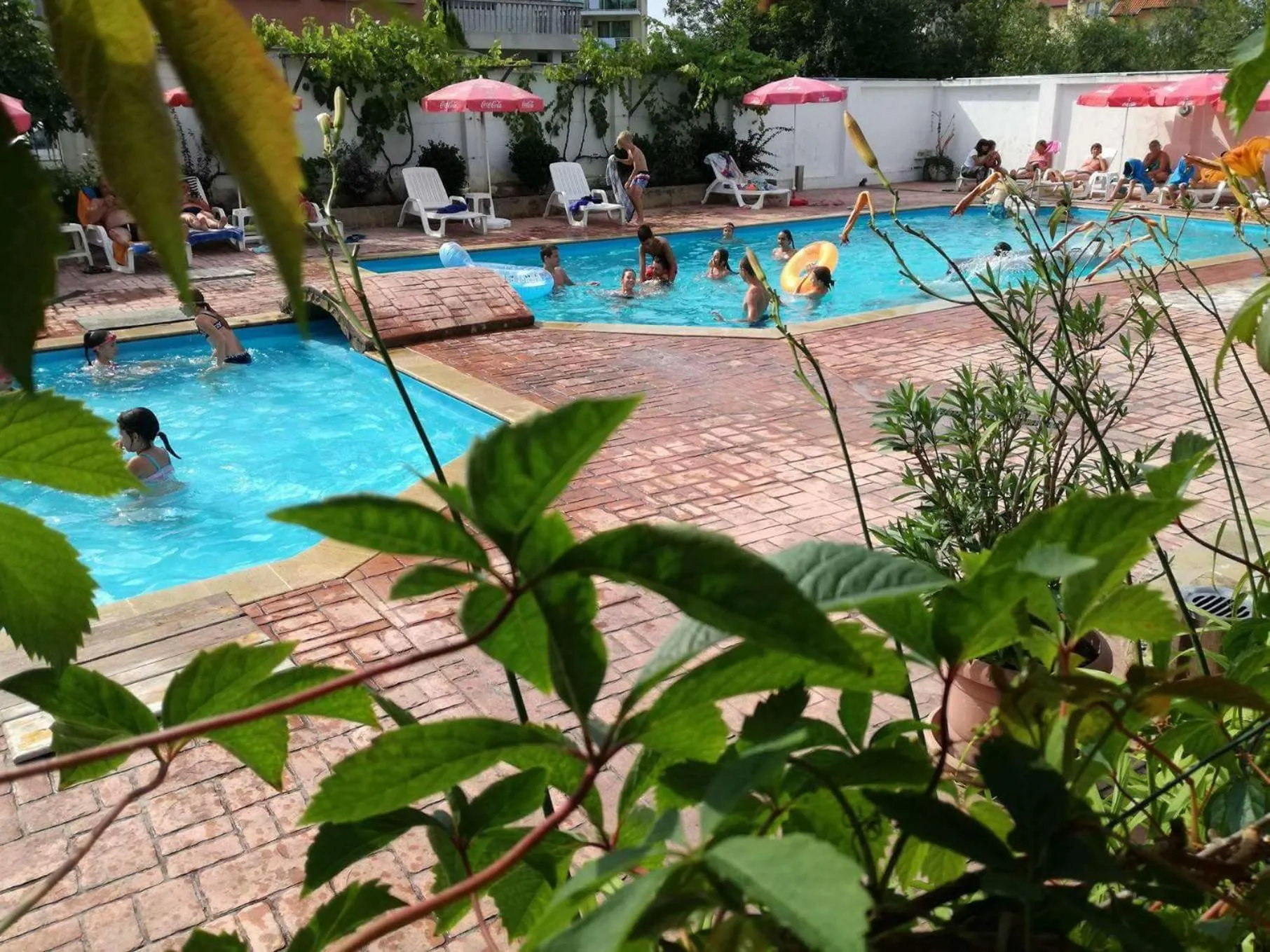 Swimming pool in Alba Family Club Hotel