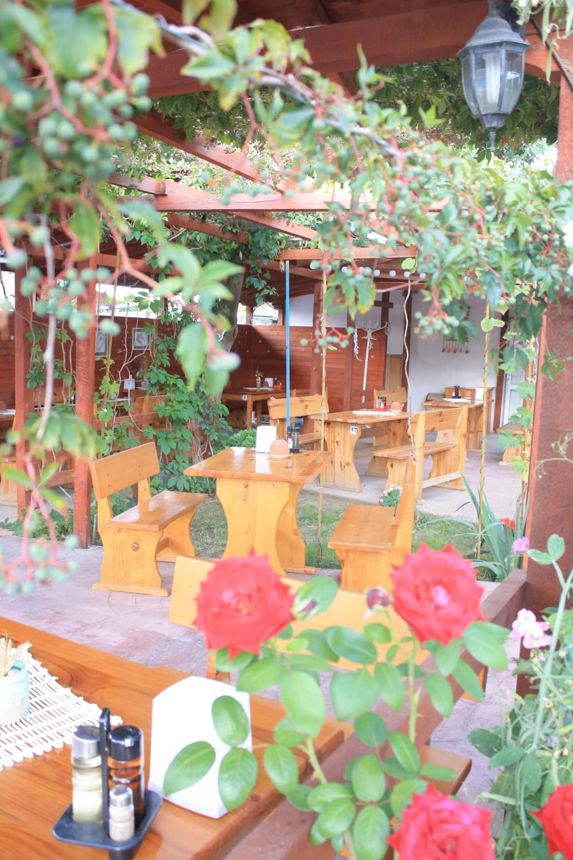 Breakfast in Alba Family Club Hotel