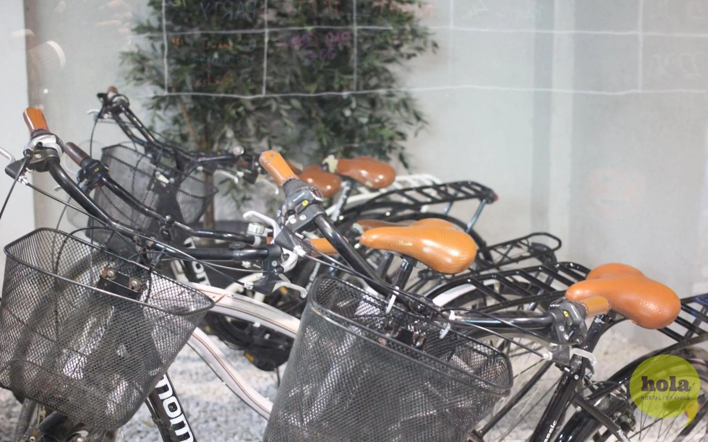 Cycling in Hola Hostal Eixample