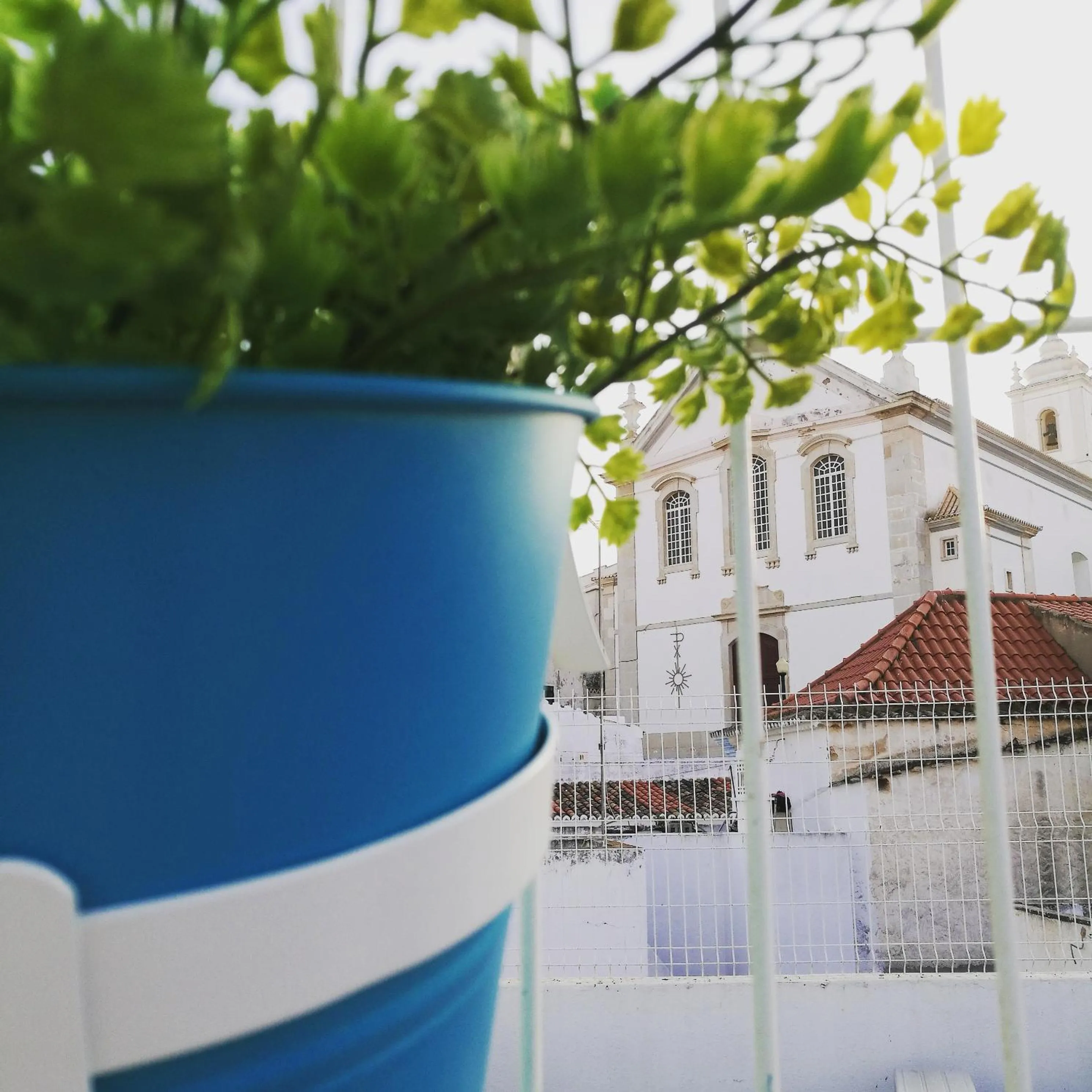 Balcony/Terrace in Peneco Albufeira GuestHouse