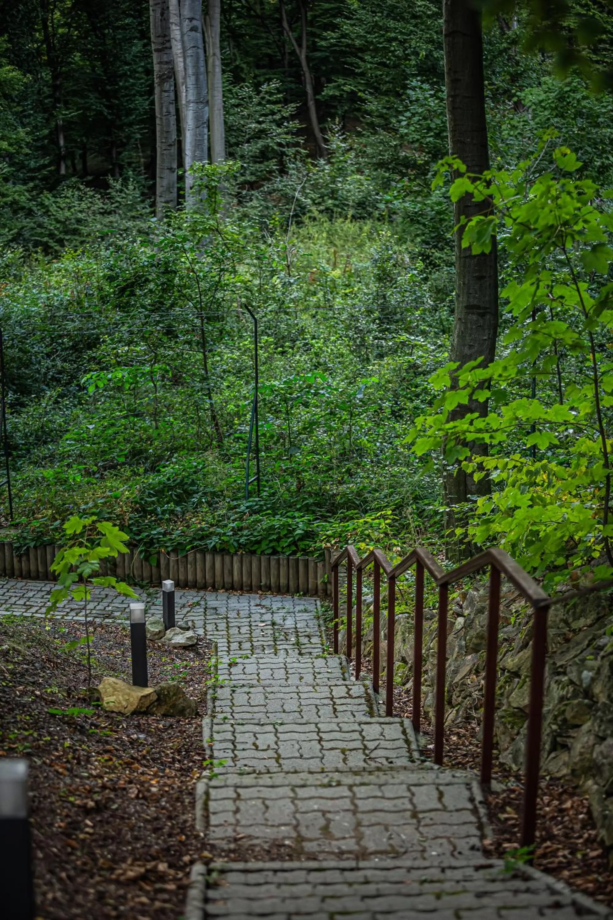 Day in 4 Évszak Hegyihotel