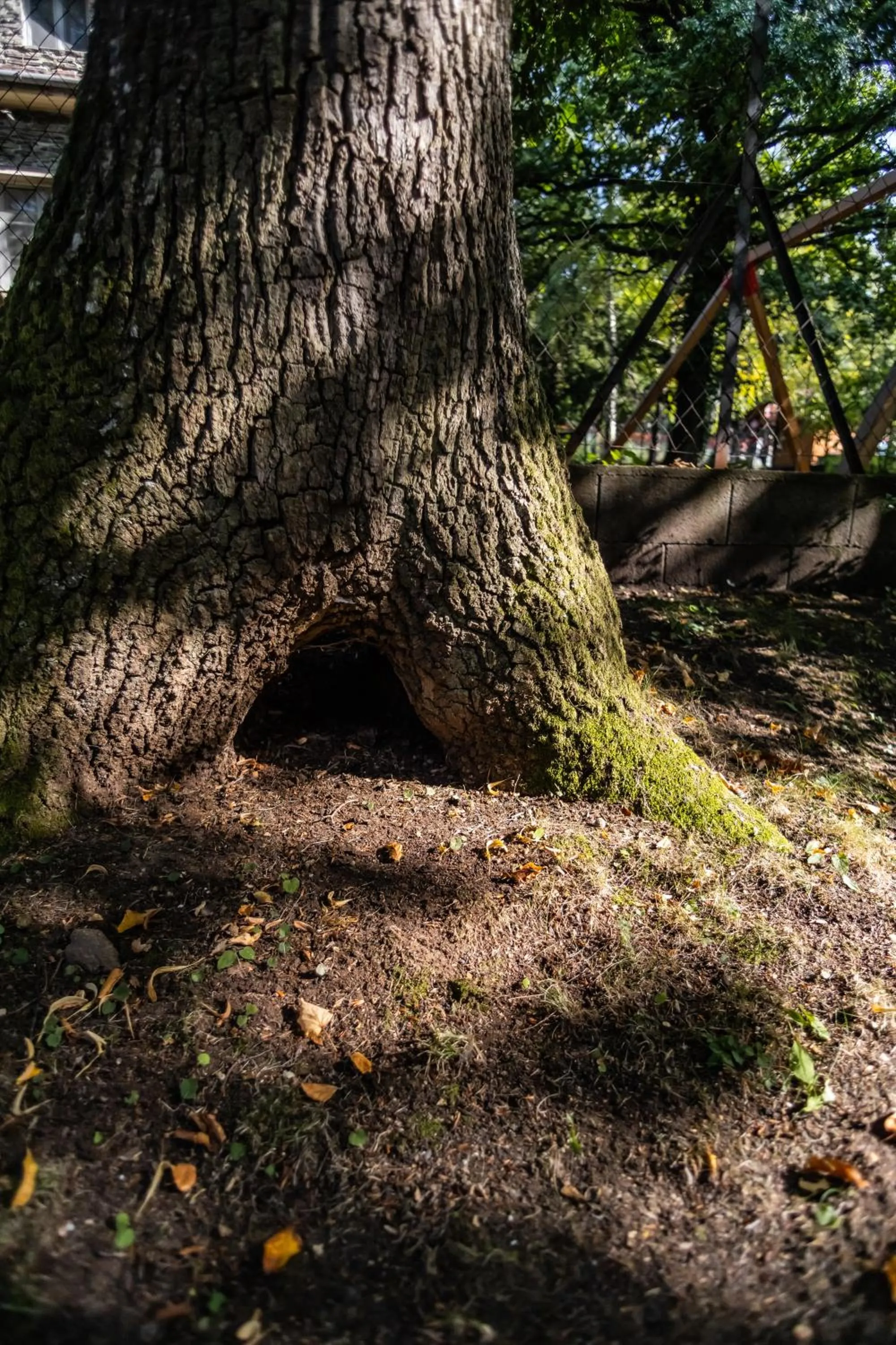 Day in 4 Évszak Hegyihotel