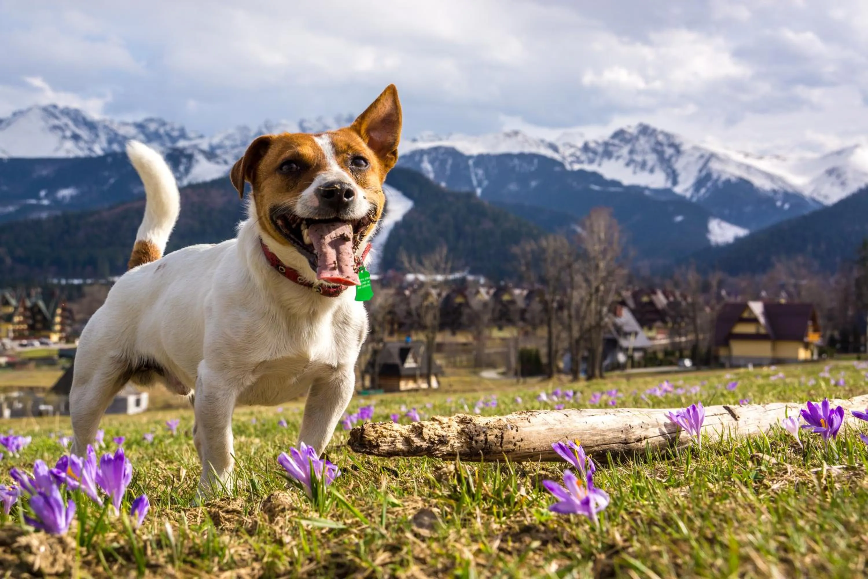 Staff in Willa Swoboda Garden Spa