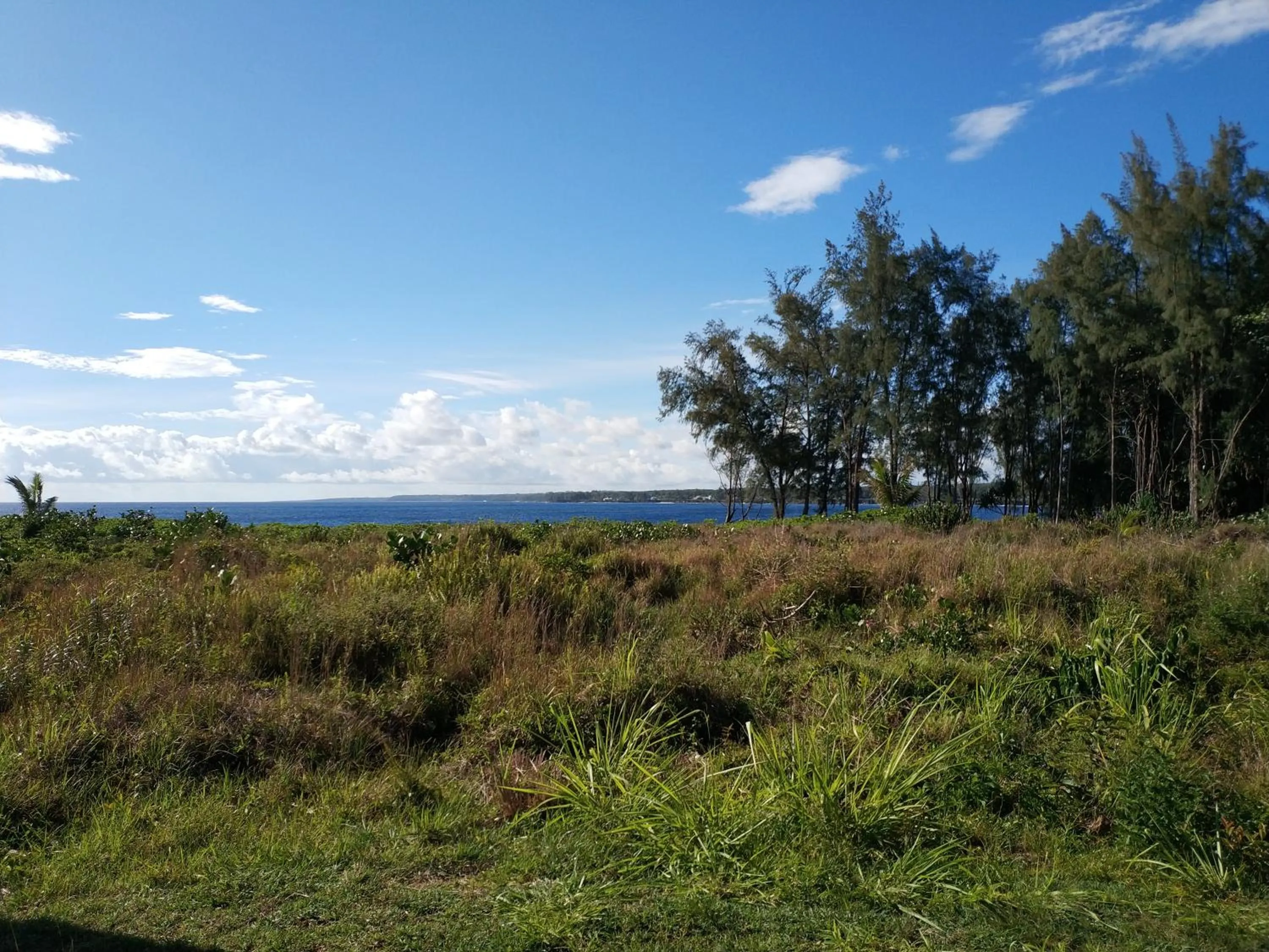 Natural landscape in Ocean Breeze Inn