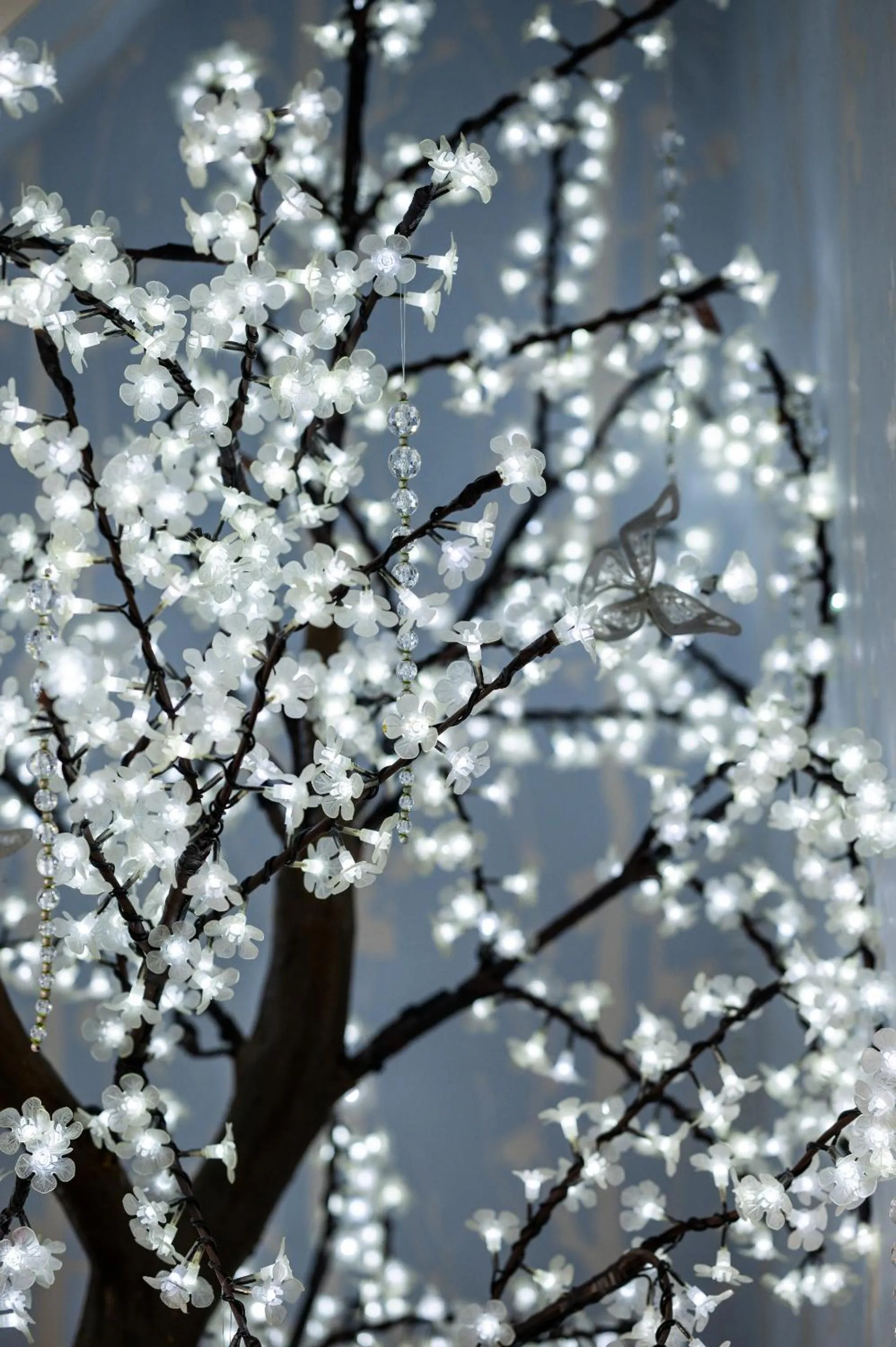 Other in Enchanted Manor