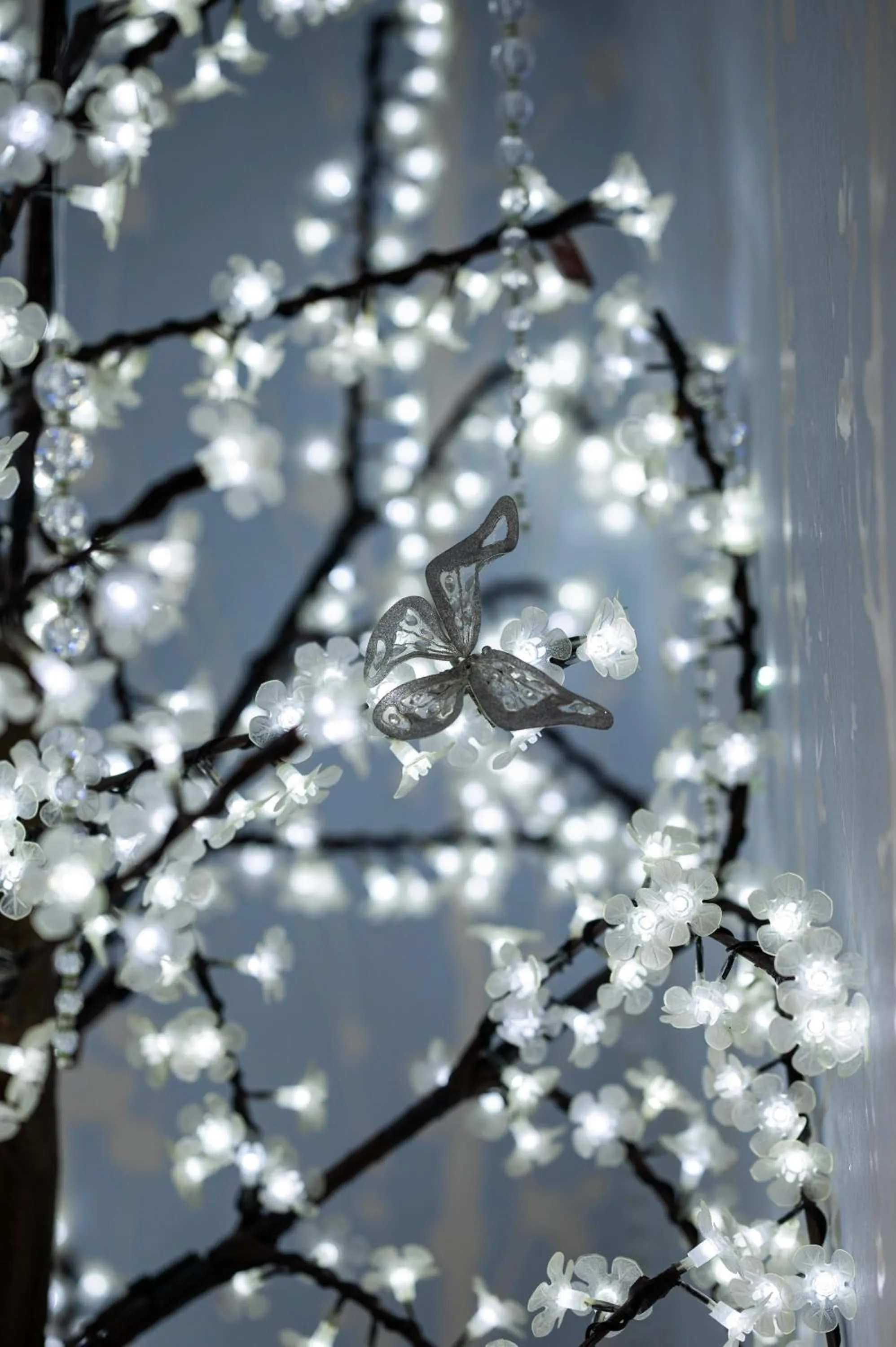 Other in Enchanted Manor