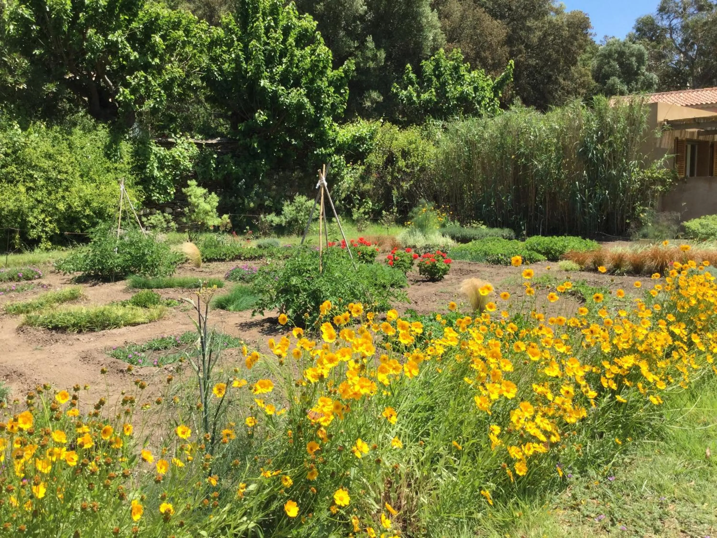 Spring in Le Manoir de Port-Cros