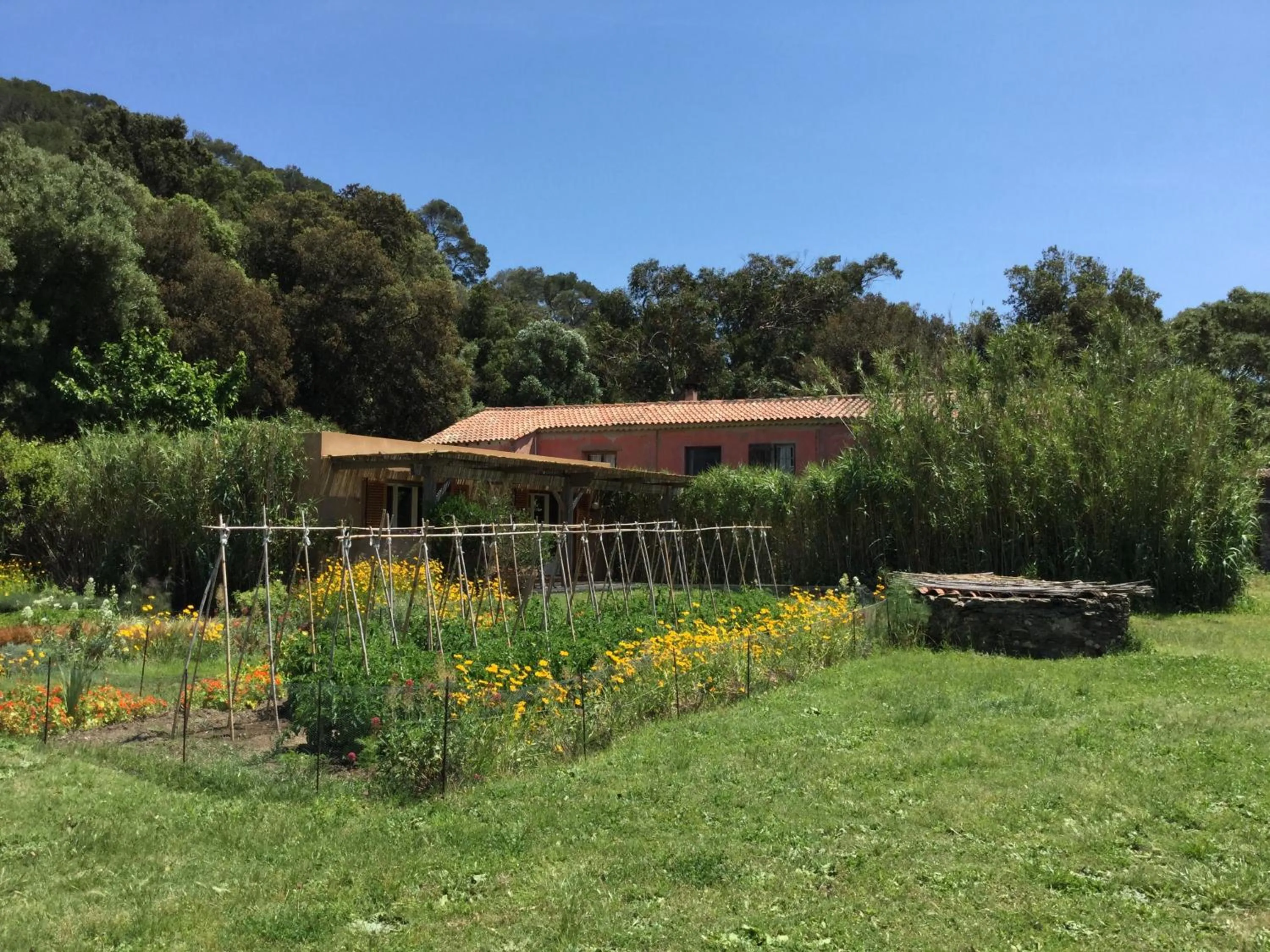 Day in Le Manoir de Port-Cros