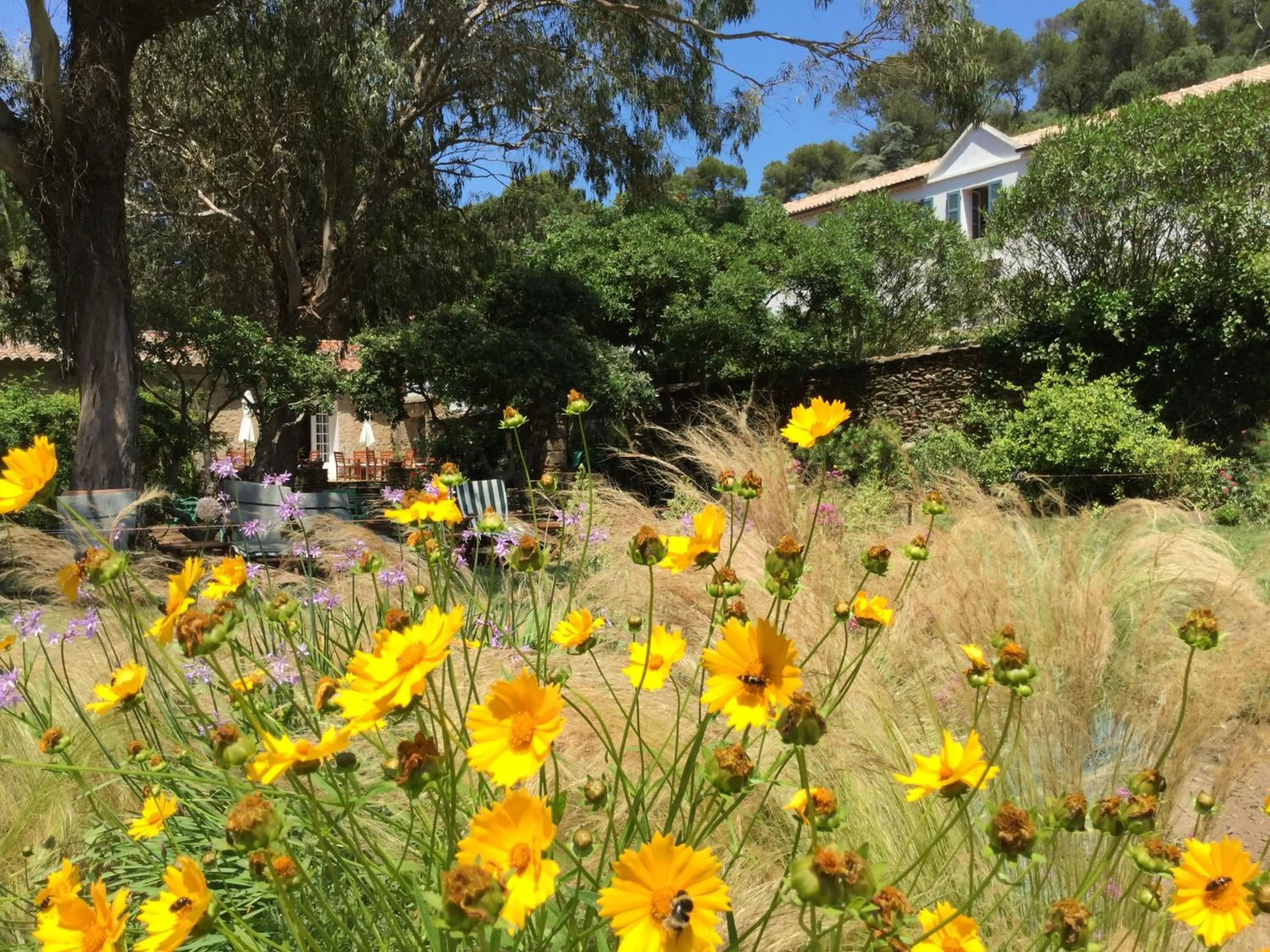 Spring in Le Manoir de Port-Cros