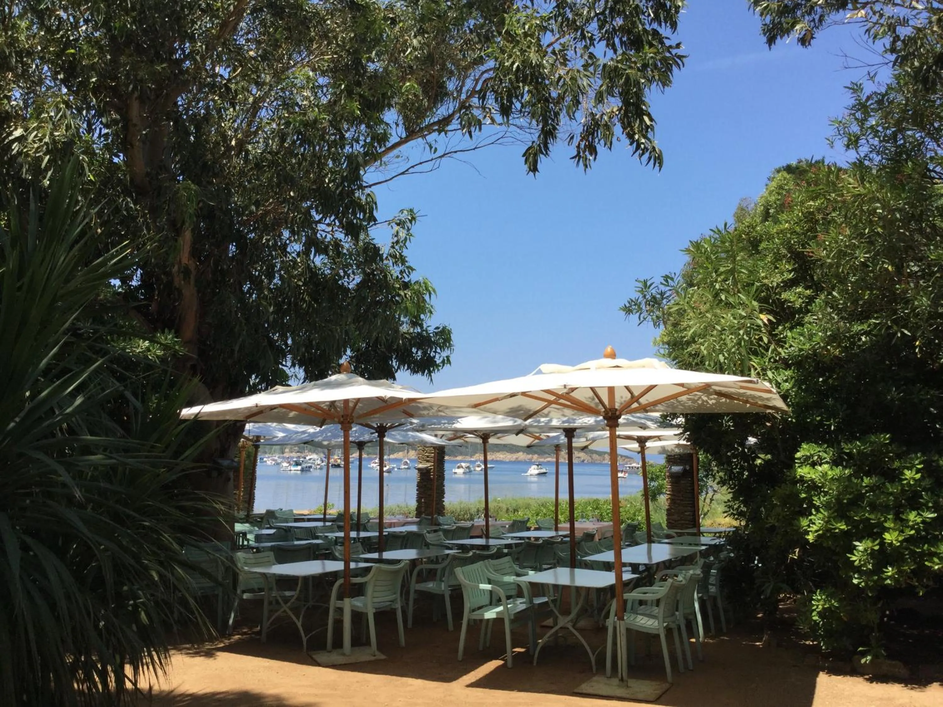 Restaurant/places to eat in Le Manoir de Port-Cros