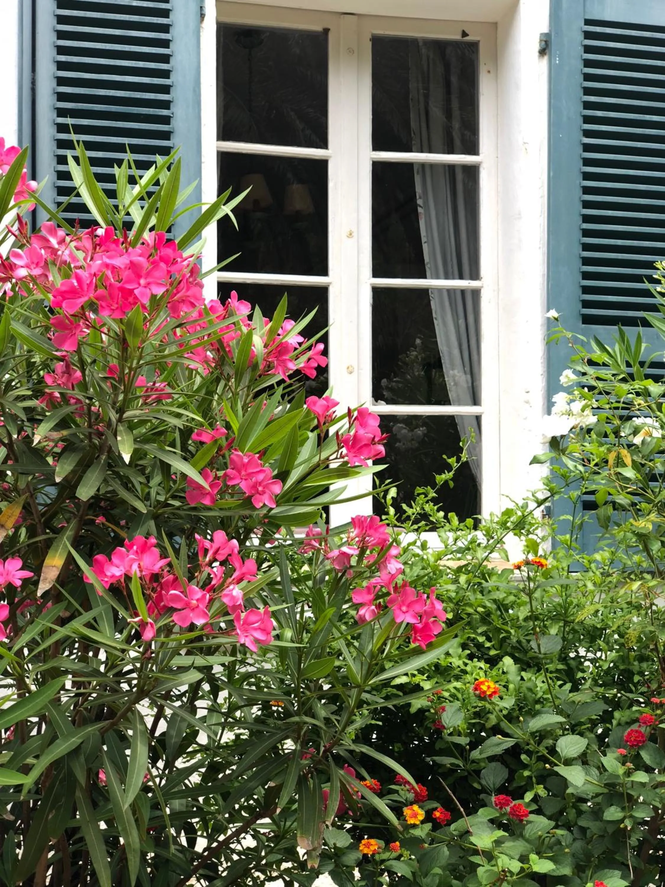 Le Manoir de Port-Cros