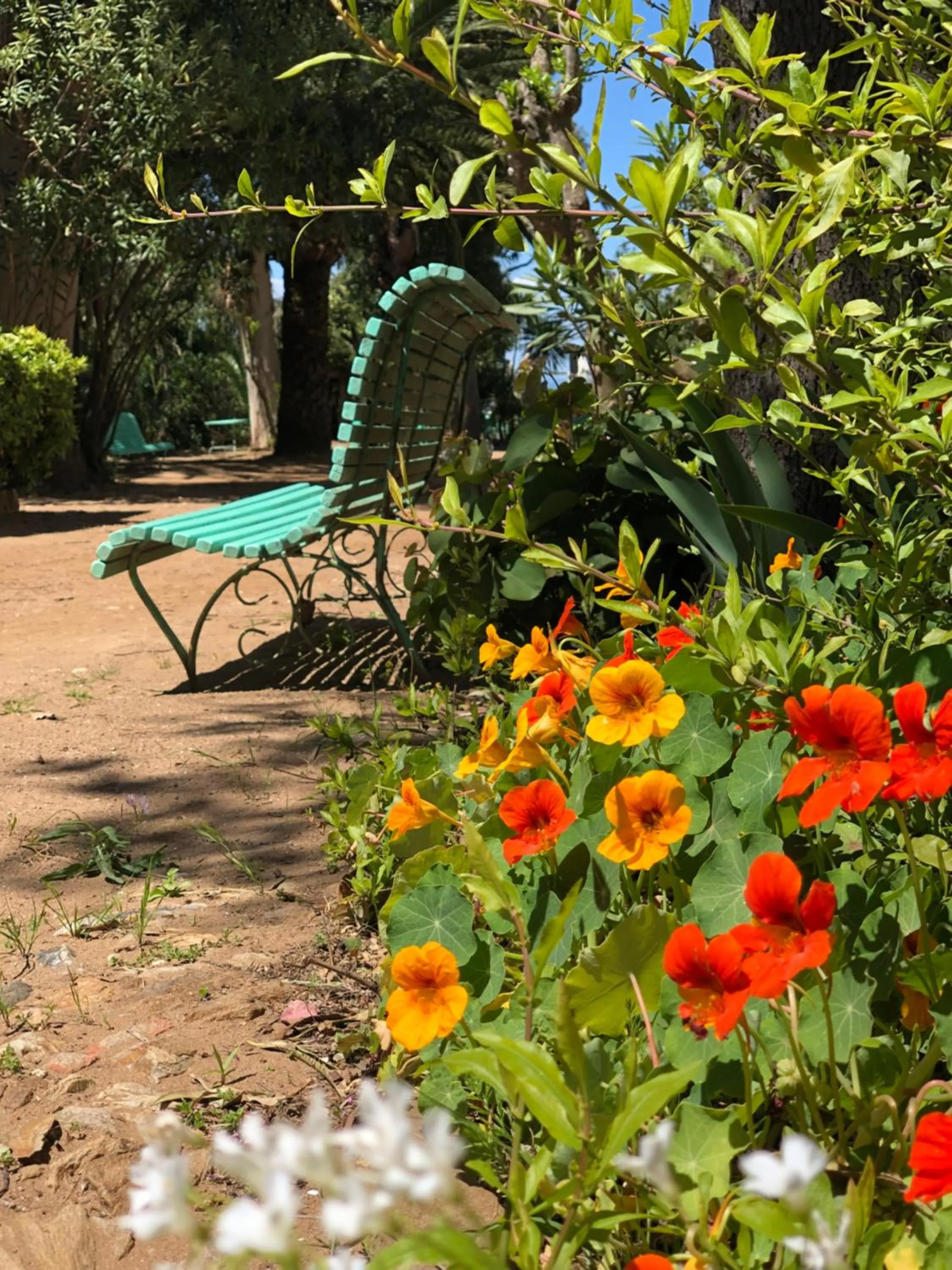 Le Manoir de Port-Cros