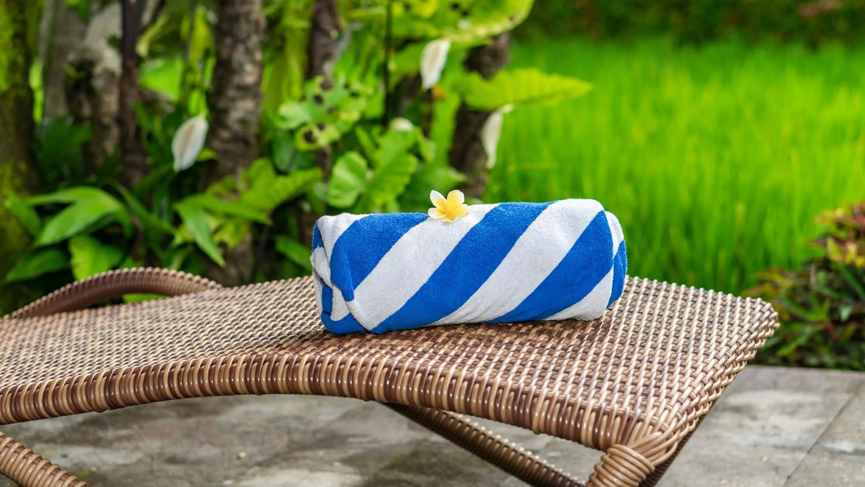 Day in Uma Kakul Villas