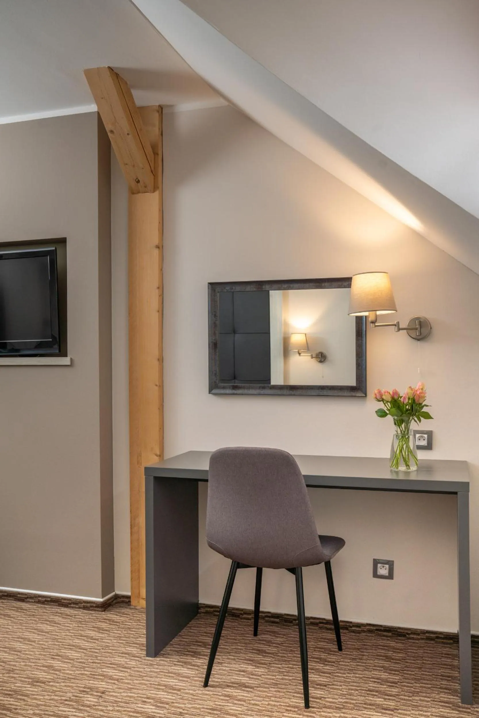 TV and multimedia in Hotel Grunt