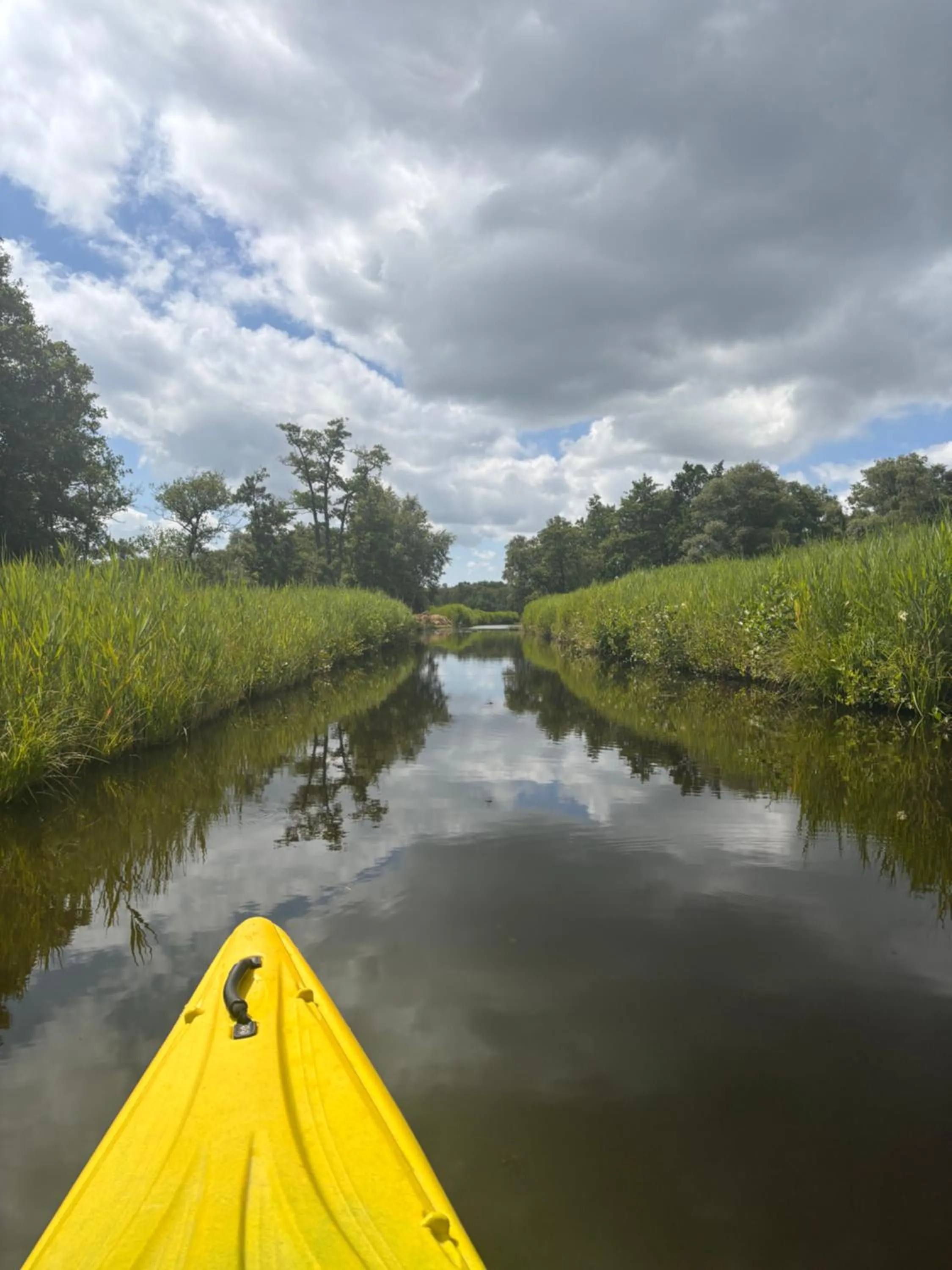 Natural landscape in De Veurdeale