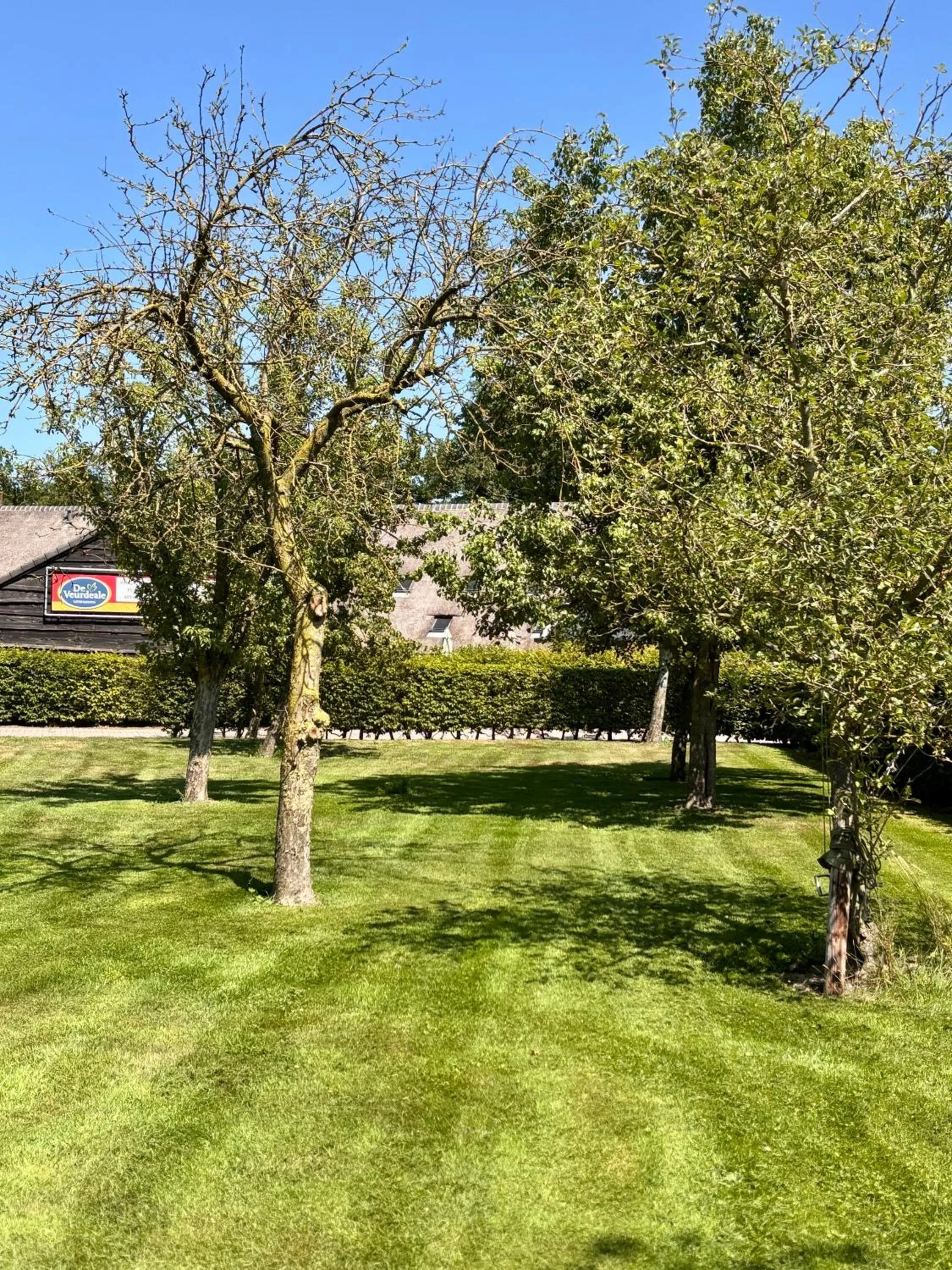 View (from property/room) in De Veurdeale