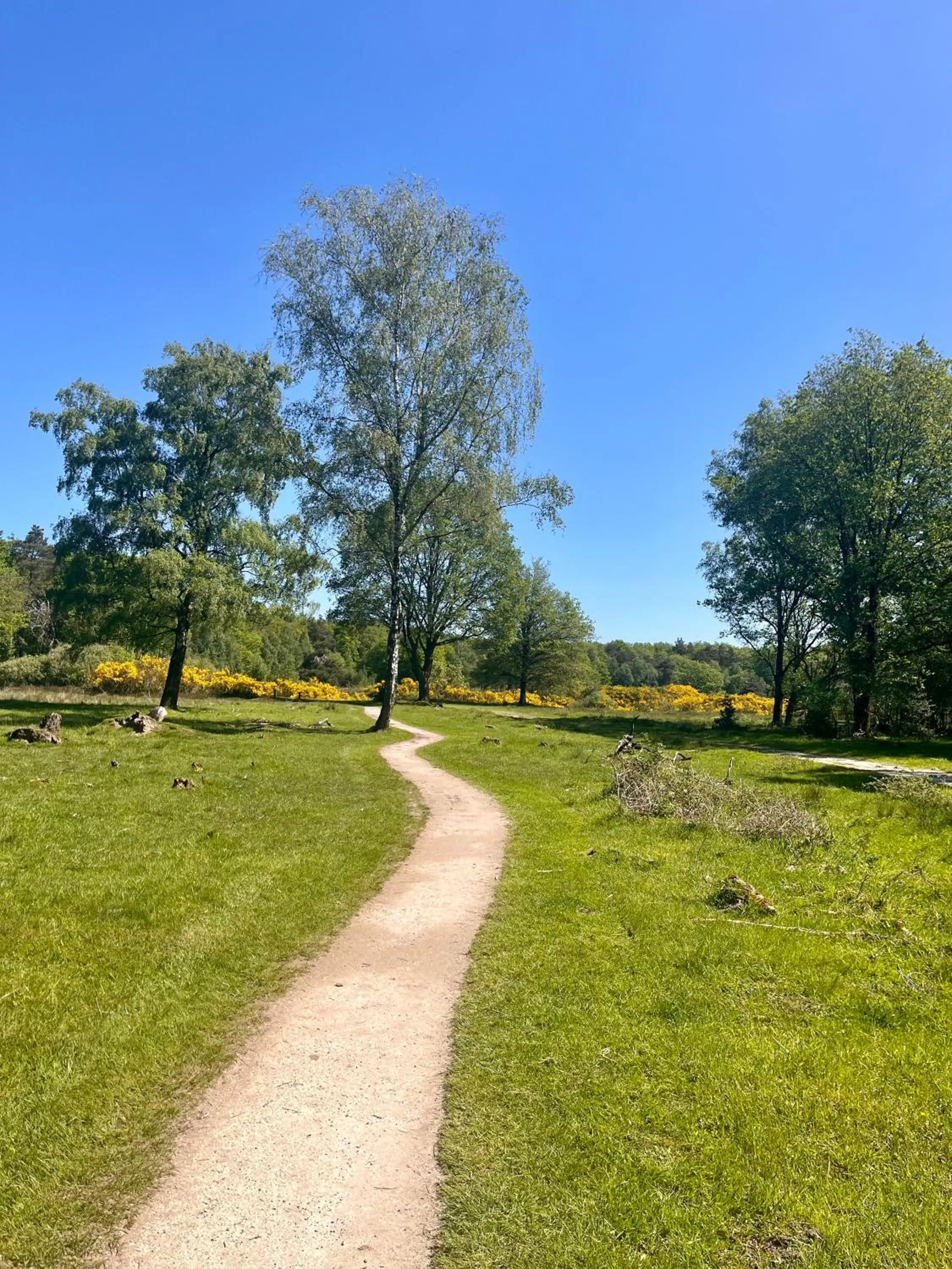Natural landscape in De Veurdeale