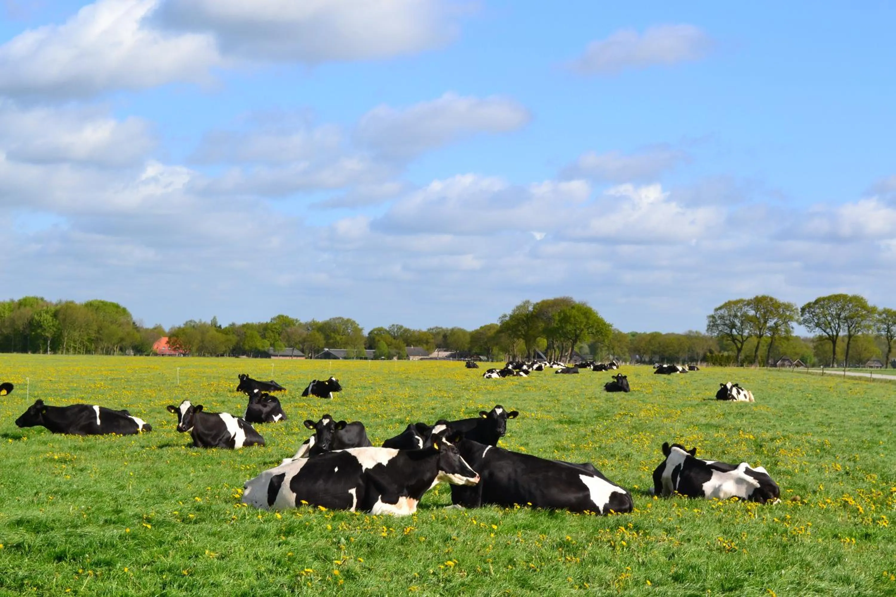 View (from property/room) in De Veurdeale