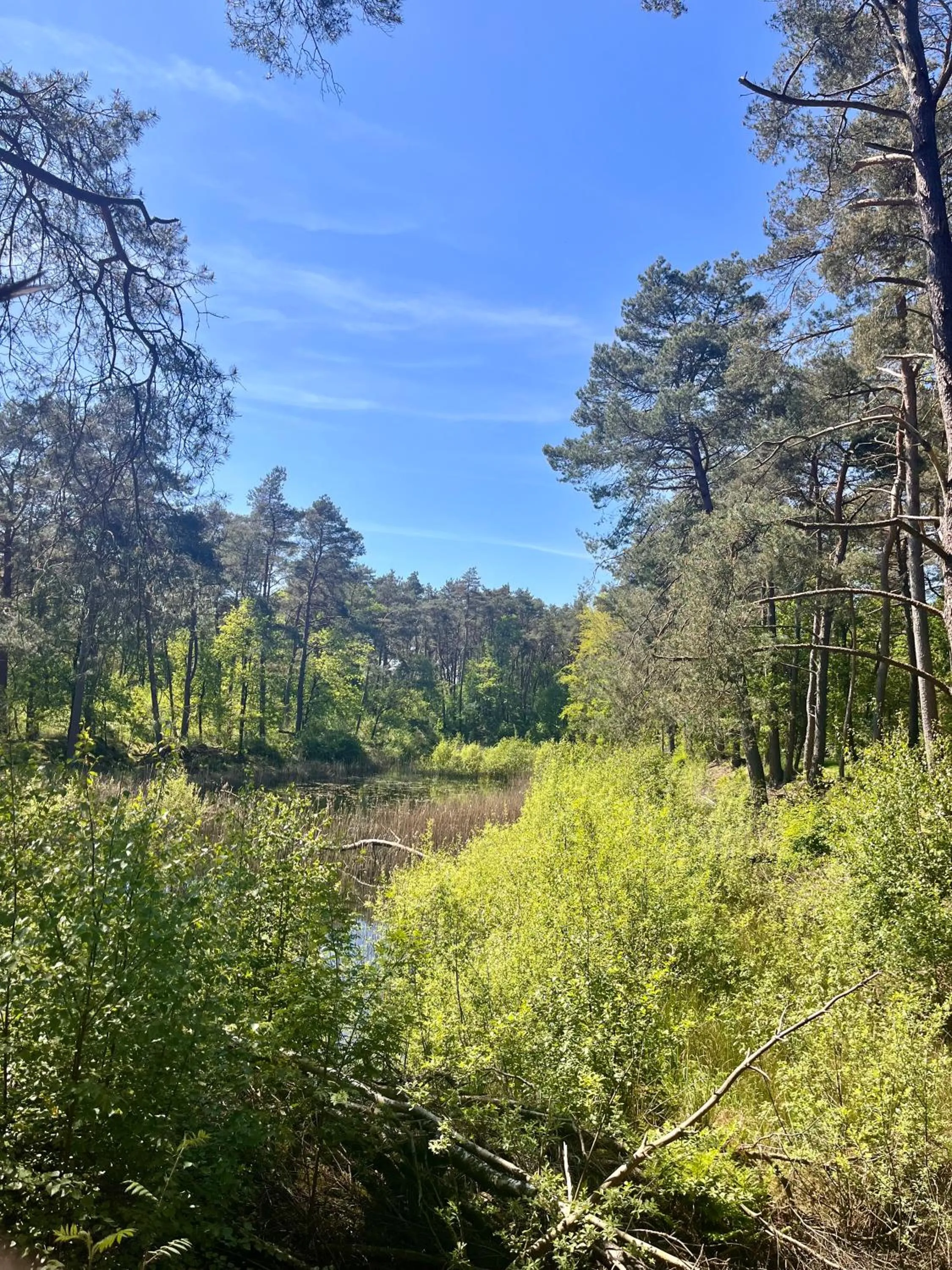 Natural landscape in De Veurdeale