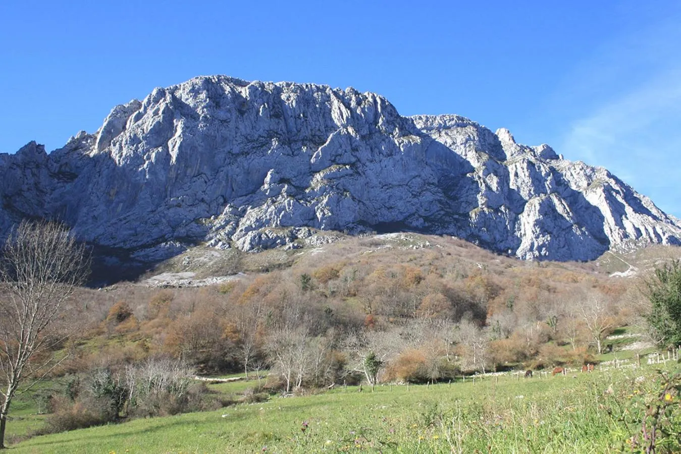 Natural landscape in Hotel Rural Llerau