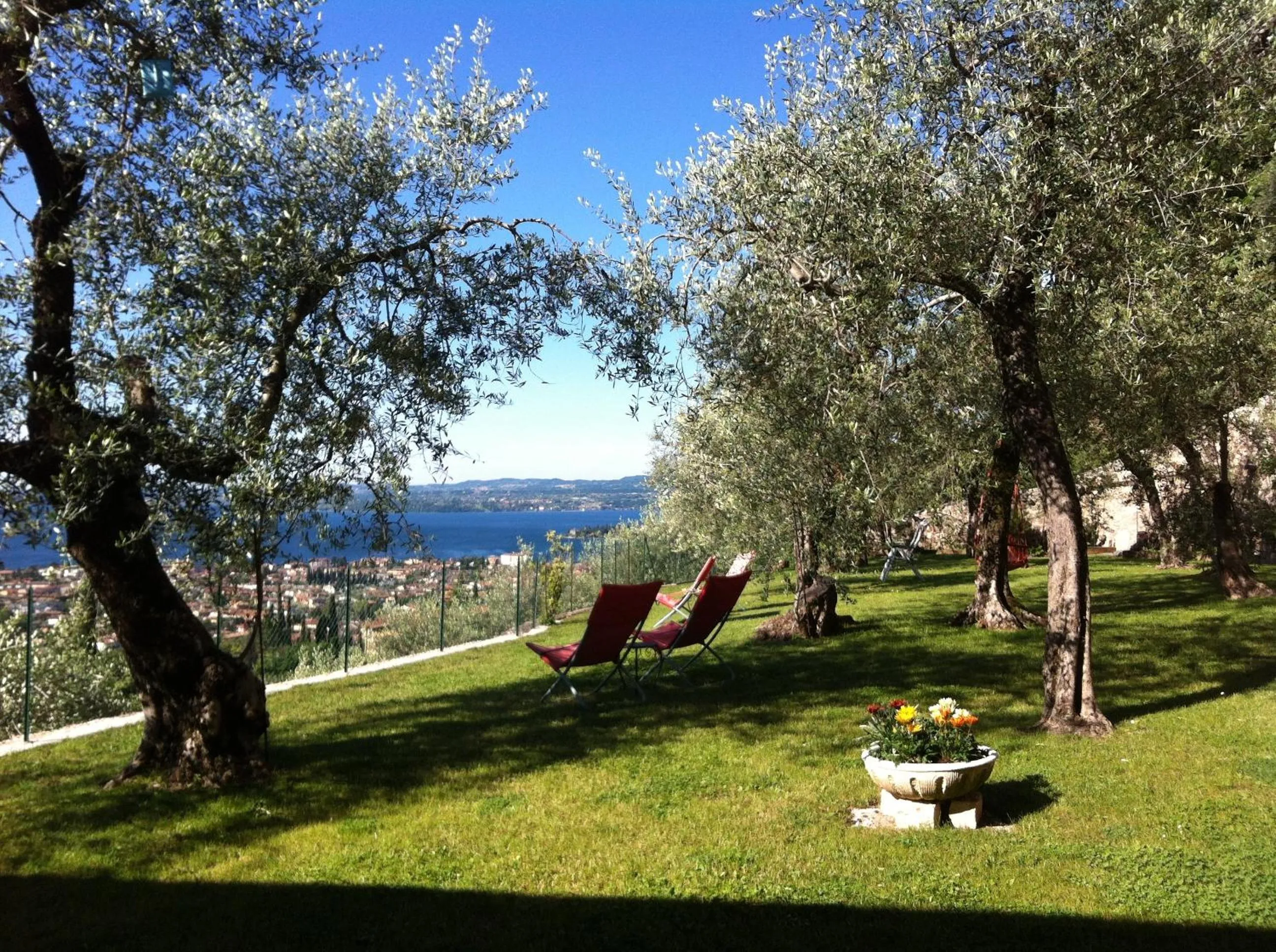 Garden in Bed & Breakfast Giardini di Corte