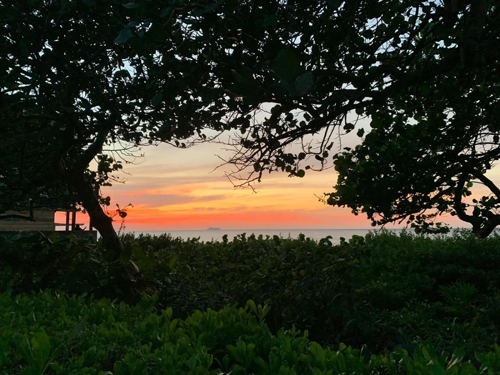 Seagrape Plantation Resort & Dive Center