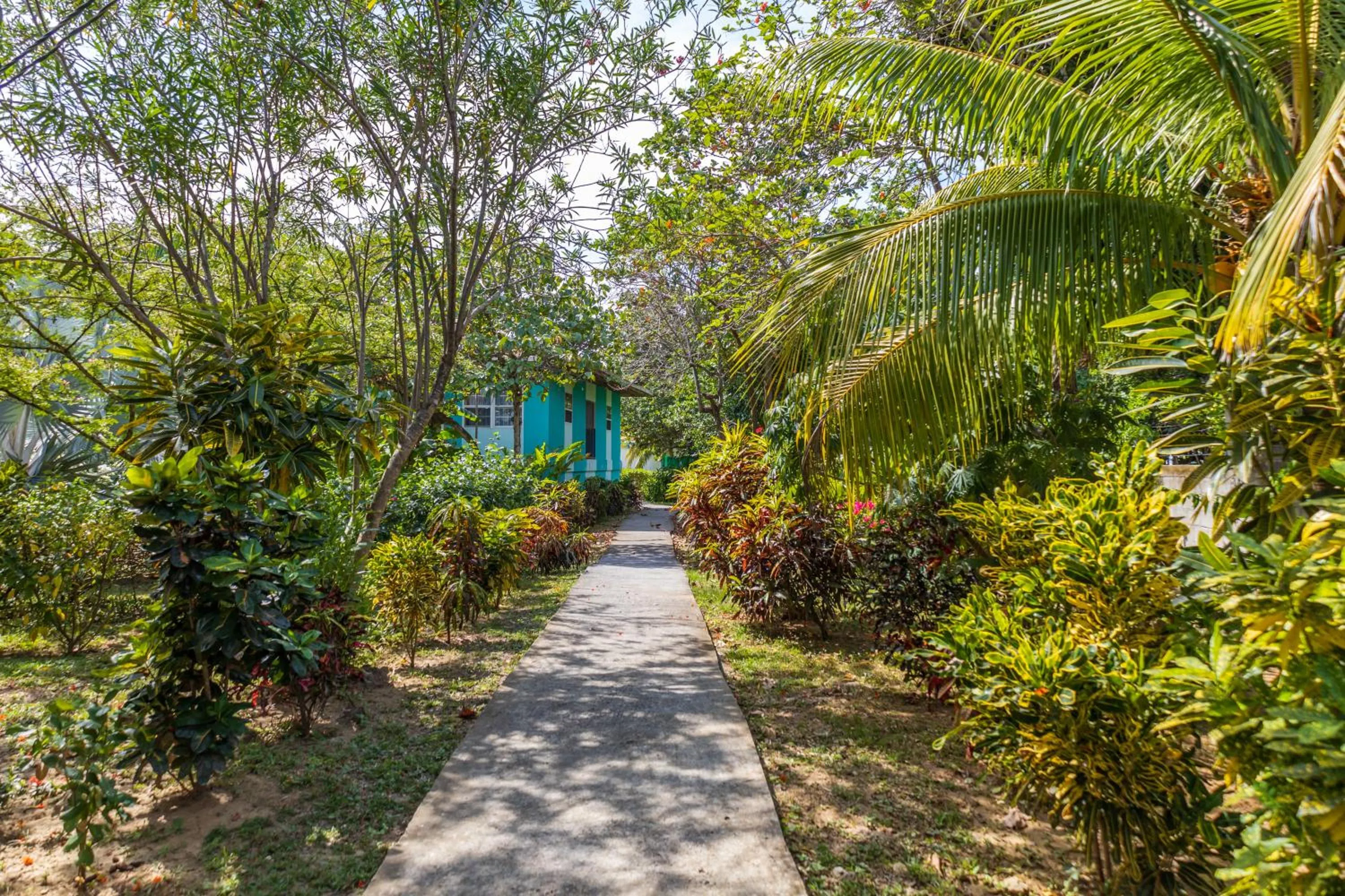 Garden view in Seagrape Plantation Resort & Dive Center