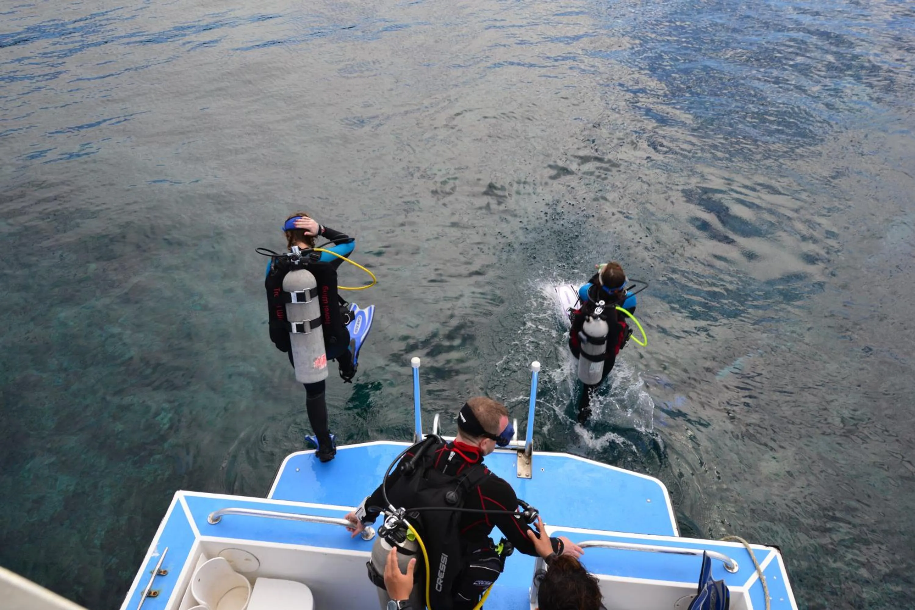 Diving in Seagrape Plantation Resort & Dive Center