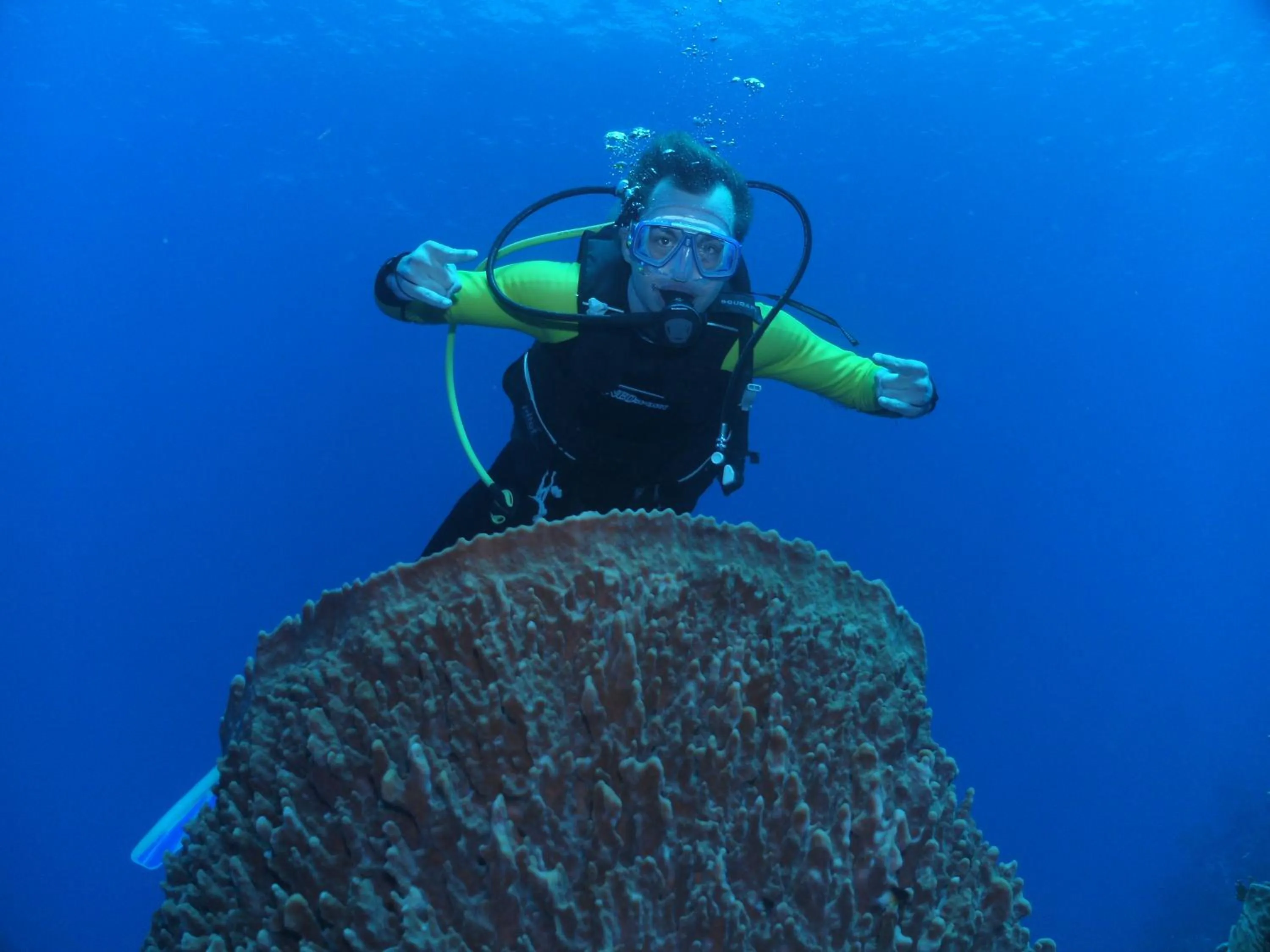 Diving in Seagrape Plantation Resort & Dive Center