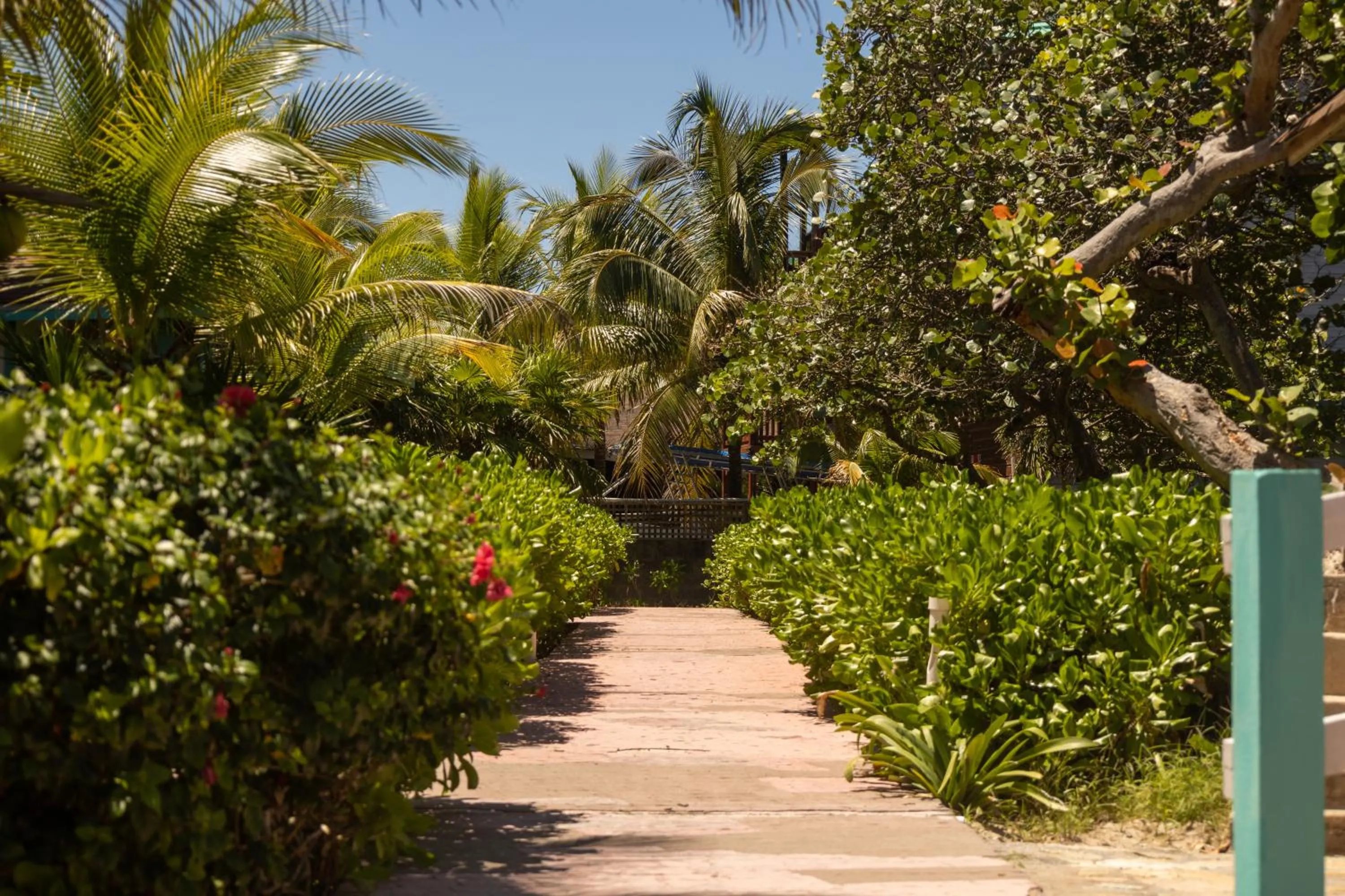 Seagrape Plantation Resort & Dive Center