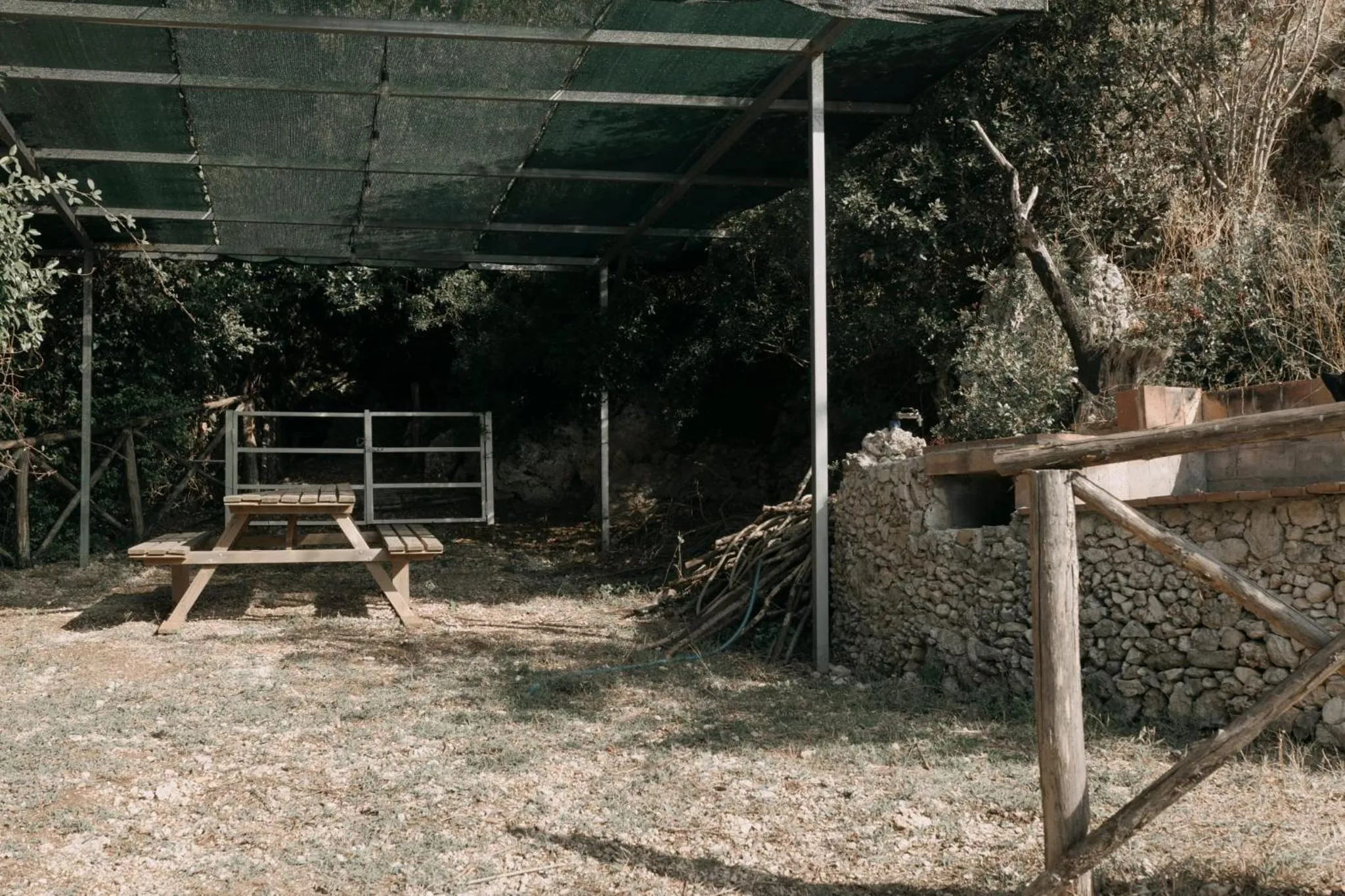 Day in b&b Tenuta San Felice