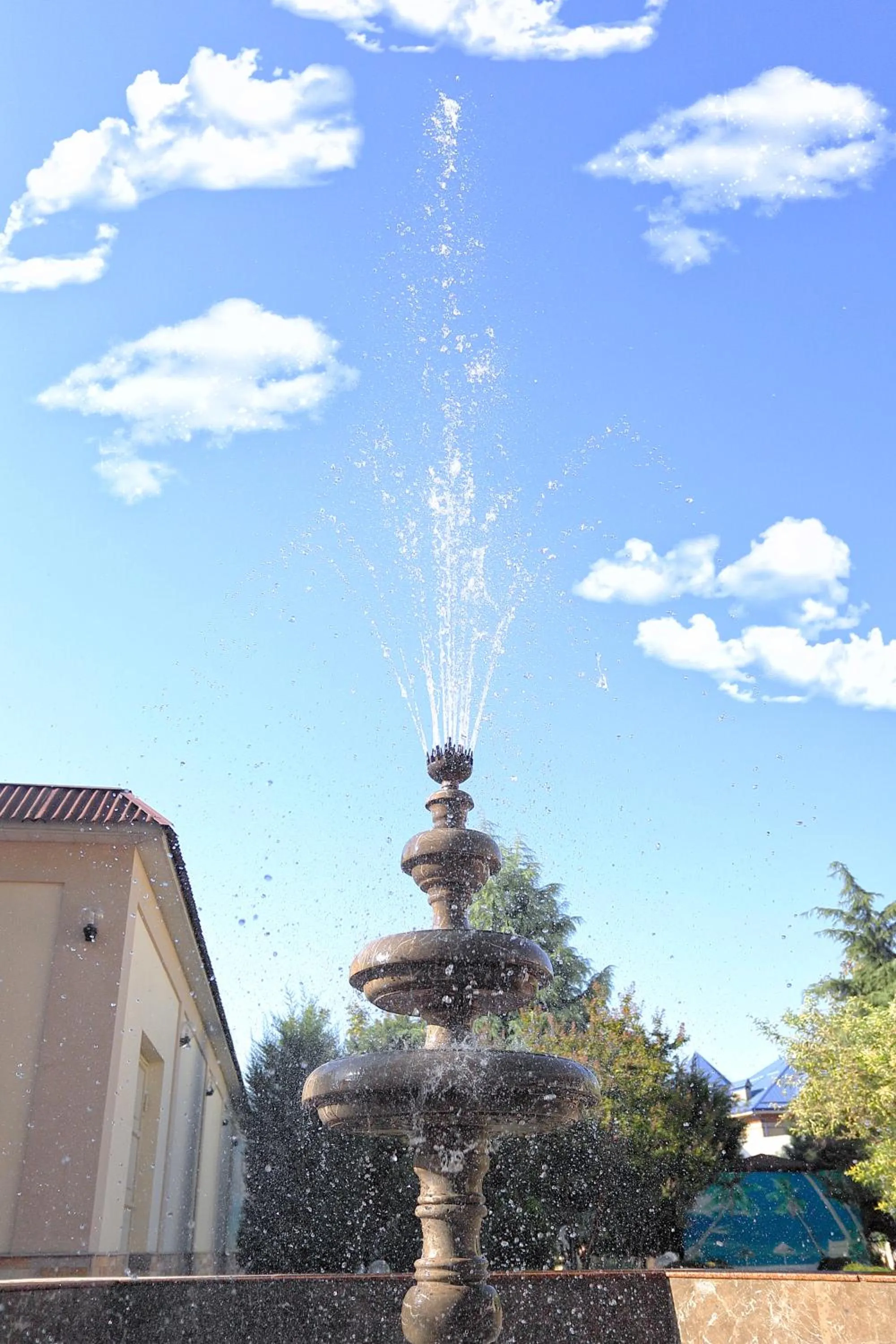Garden in VIARDO Hotel