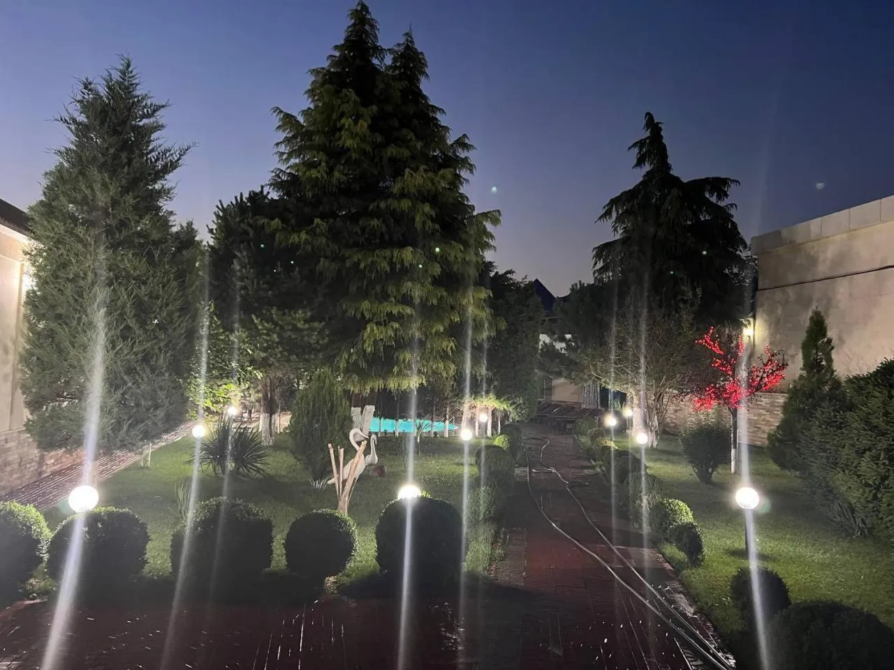 Natural landscape in VIARDO Hotel