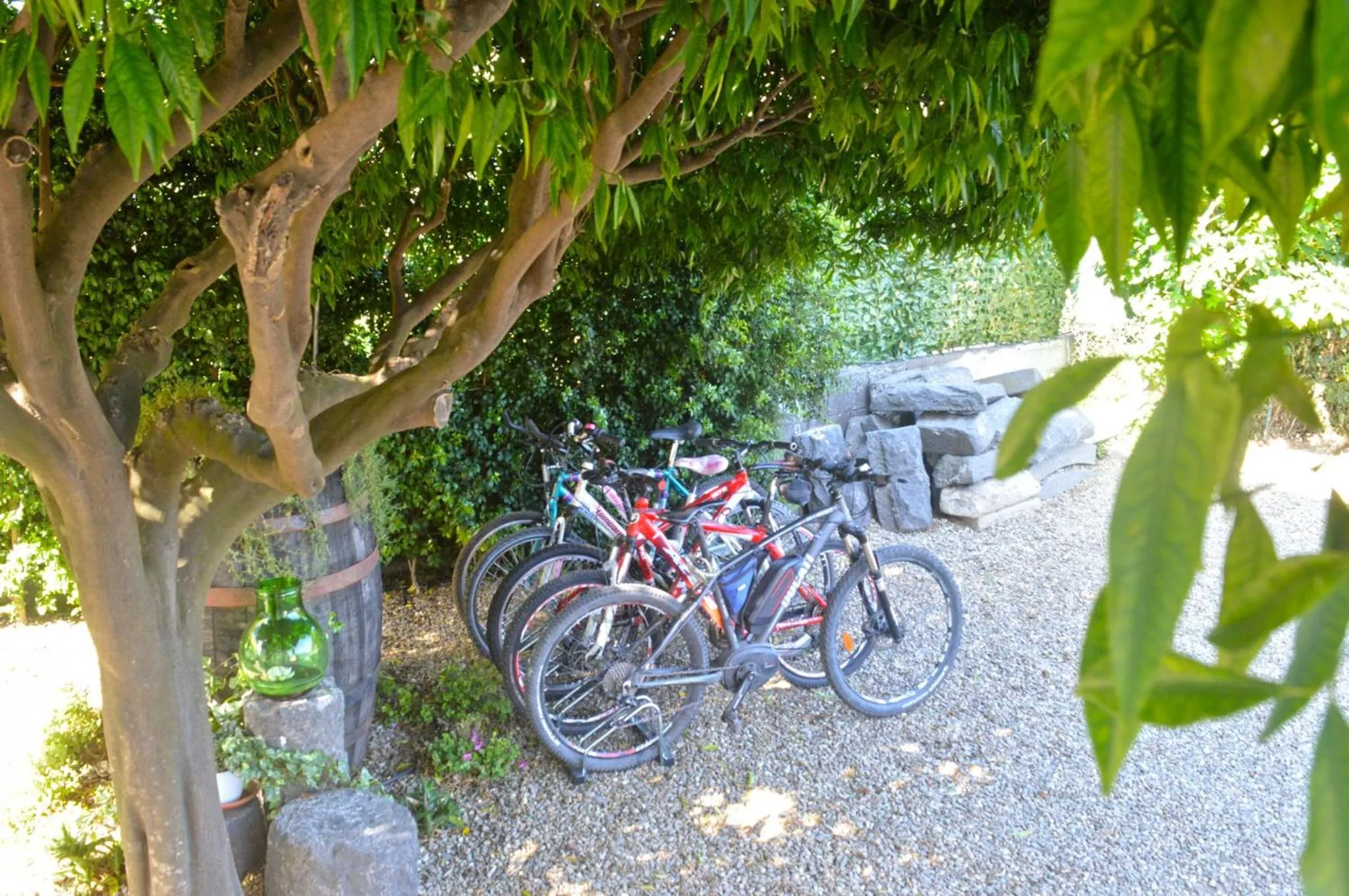 Activities in Mauro Home Bed and Relax