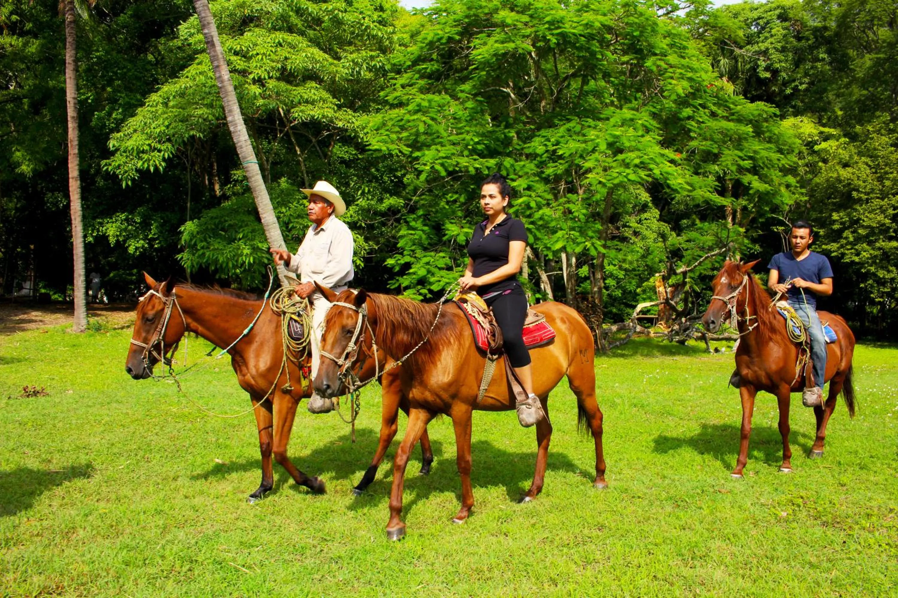 Day, Horseback Riding in Hotel SPA Taninul