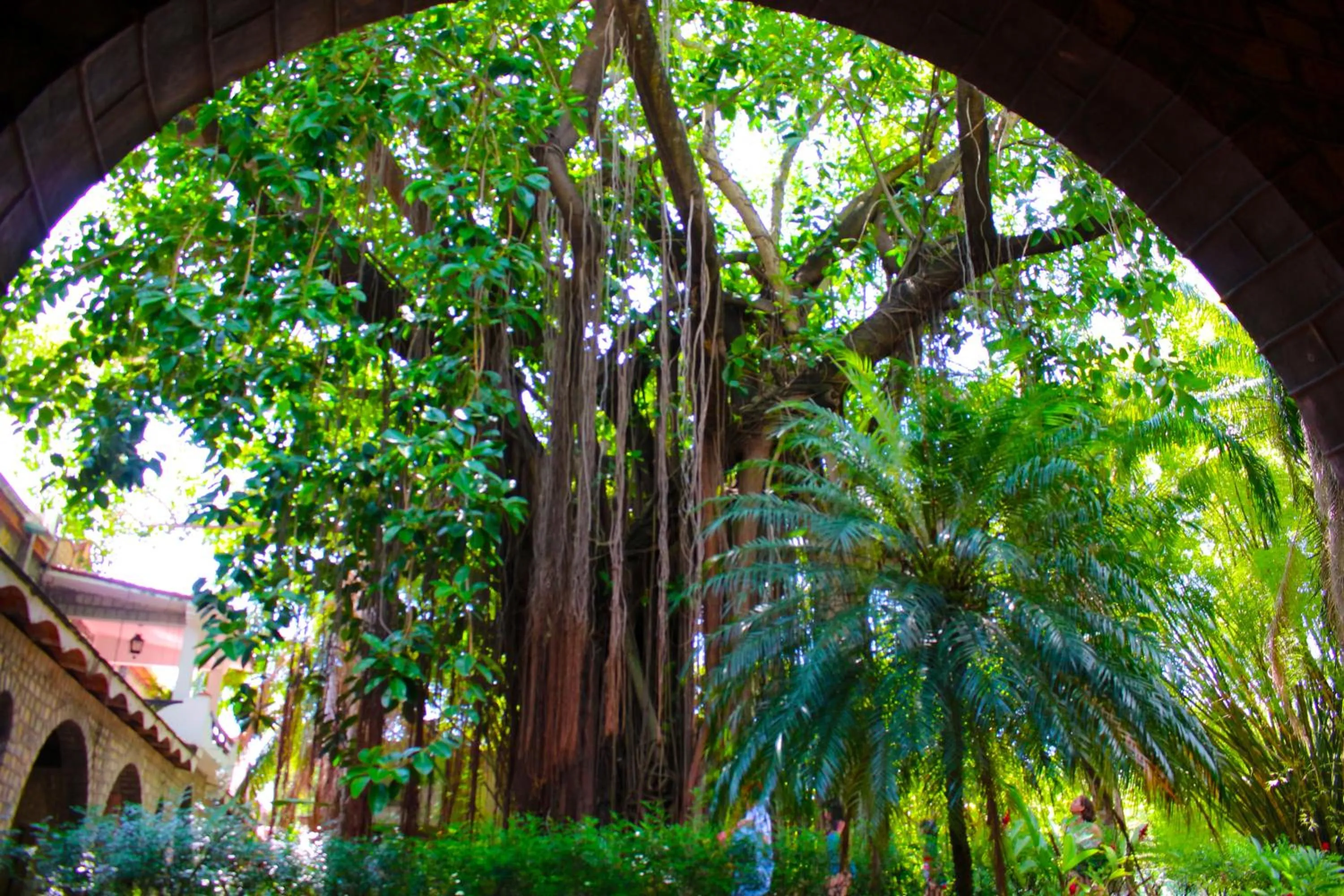 Other in Hotel SPA Taninul