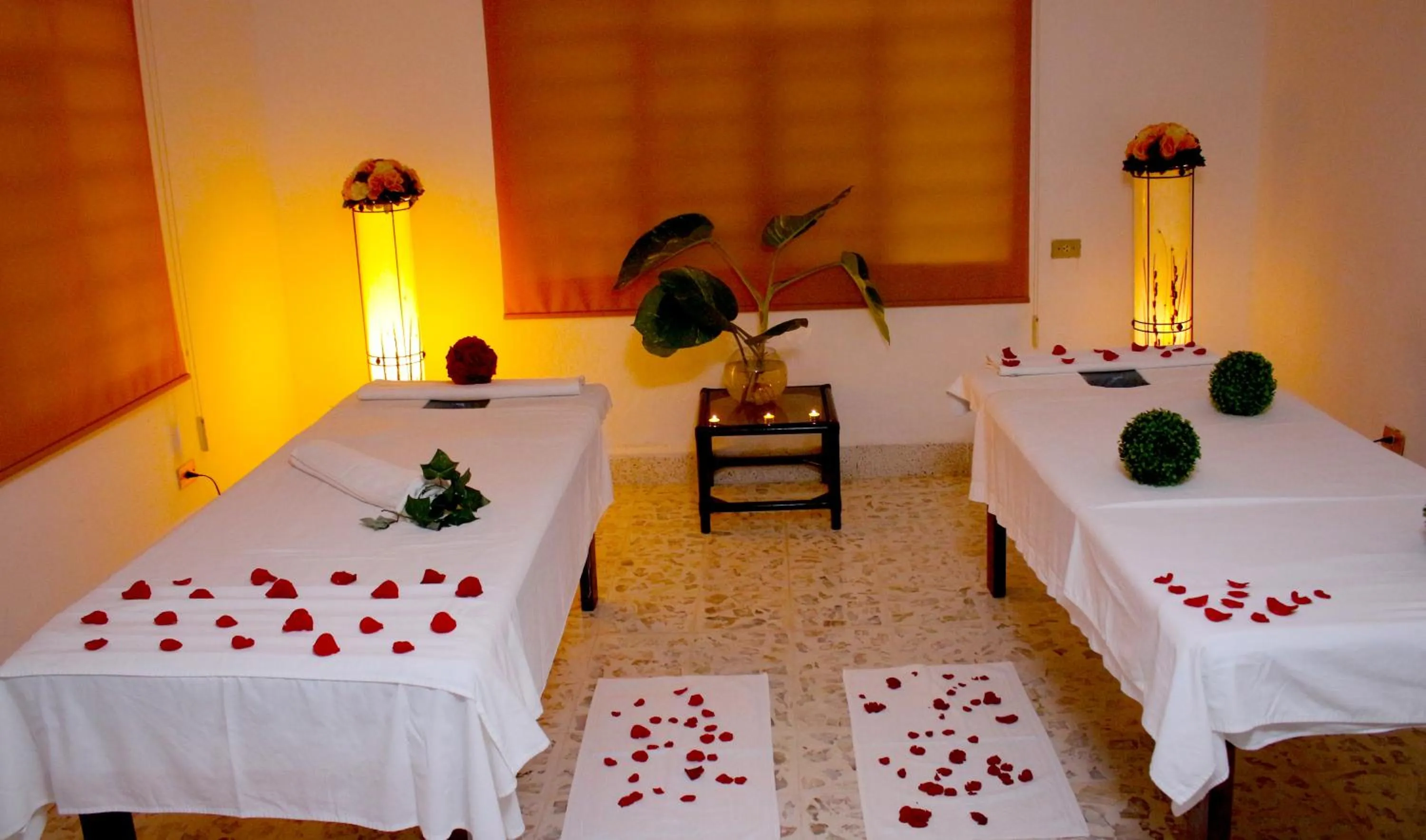 Spa and wellness centre/facilities, Spa/Wellness in Hotel SPA Taninul