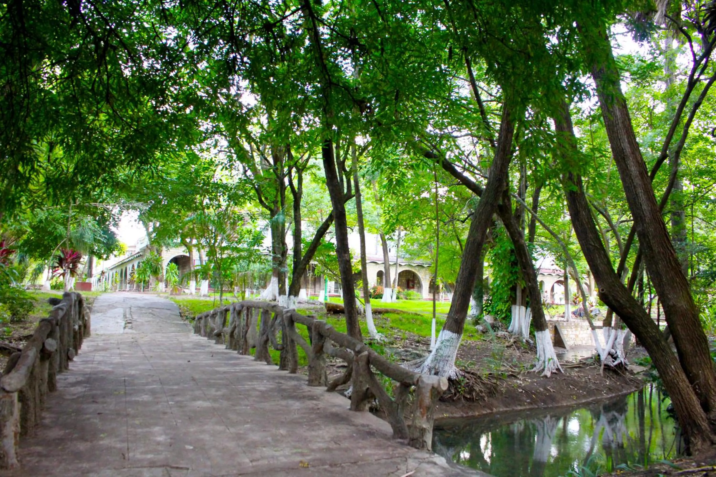 Day in Hotel SPA Taninul