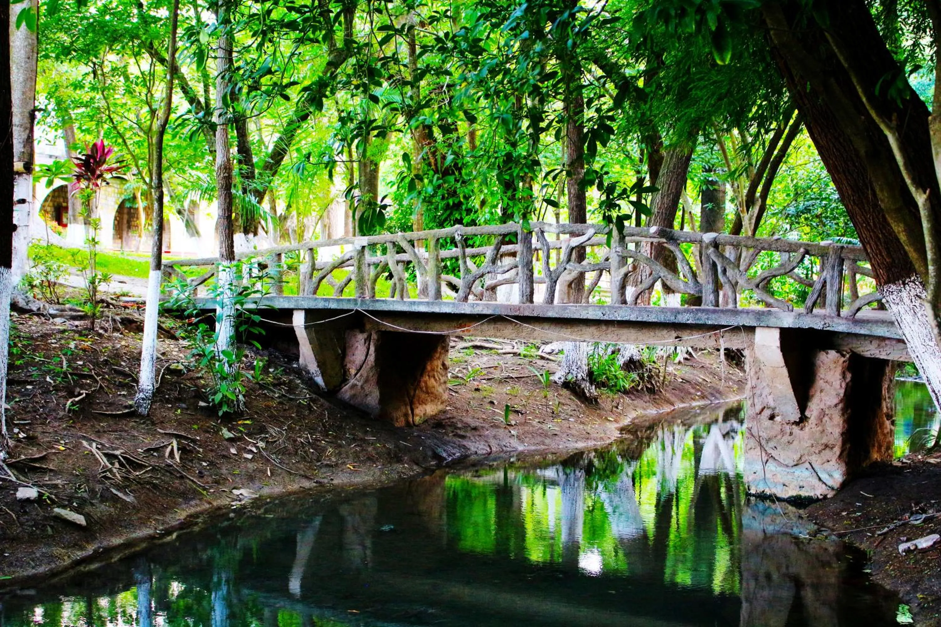 Other in Hotel SPA Taninul