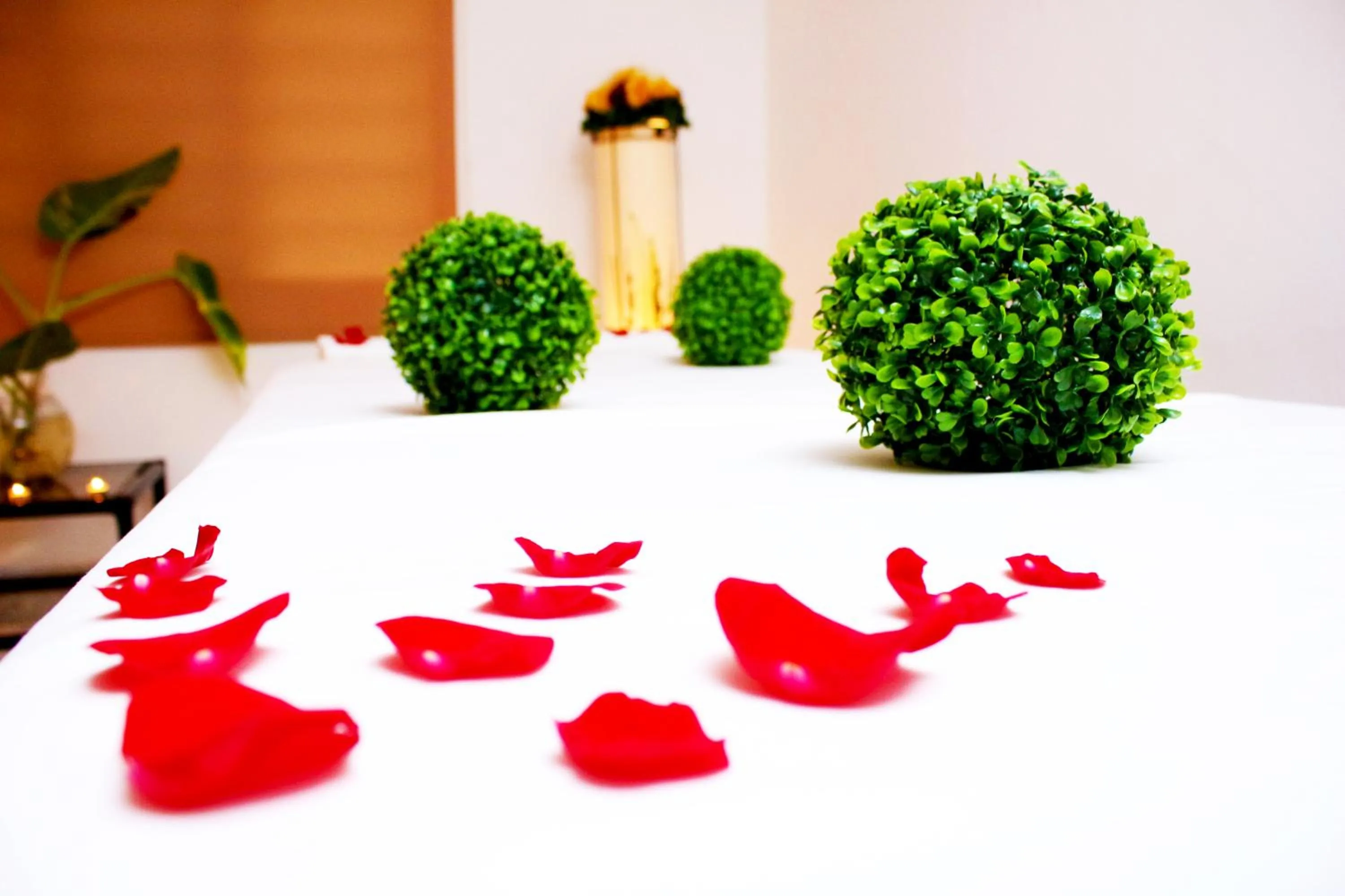 Other in Hotel SPA Taninul