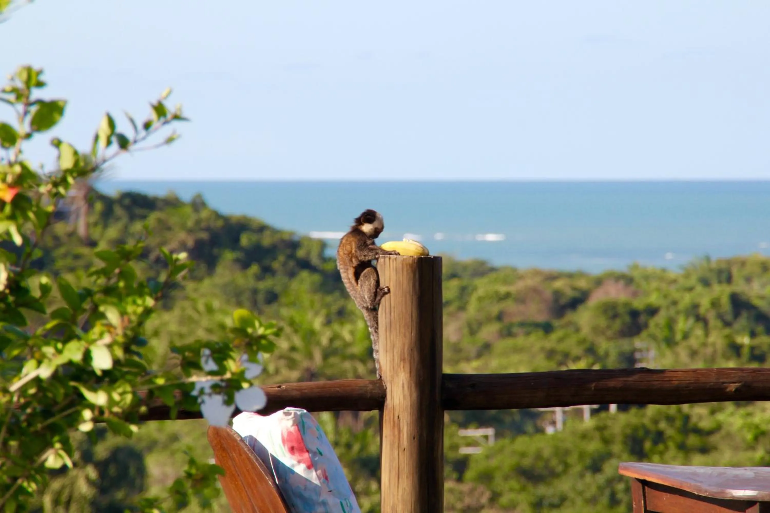 Beach in Pousada Mar à Vista