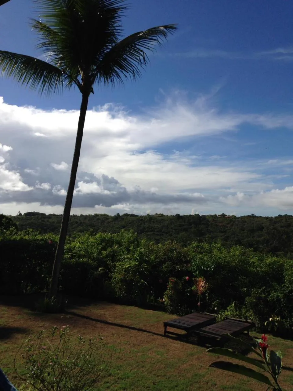 Garden in Pousada Mar à Vista