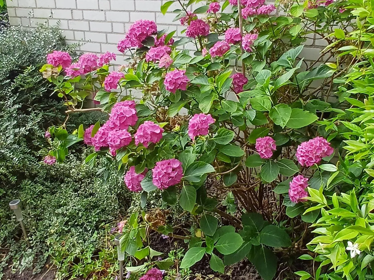 Spring in Bed & Breakfast de Koepeltjes