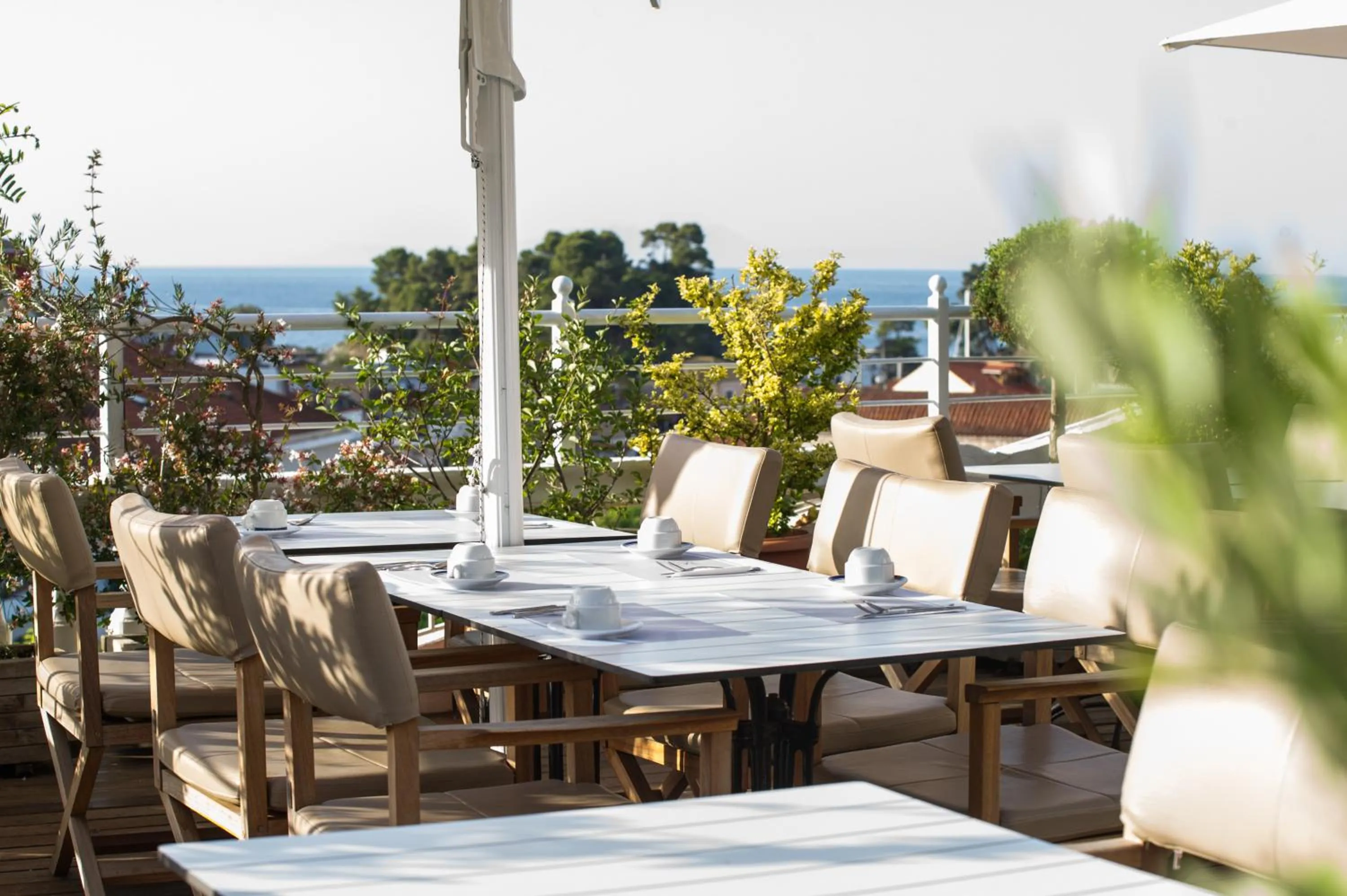 Restaurant/places to eat in Olympic Hotel