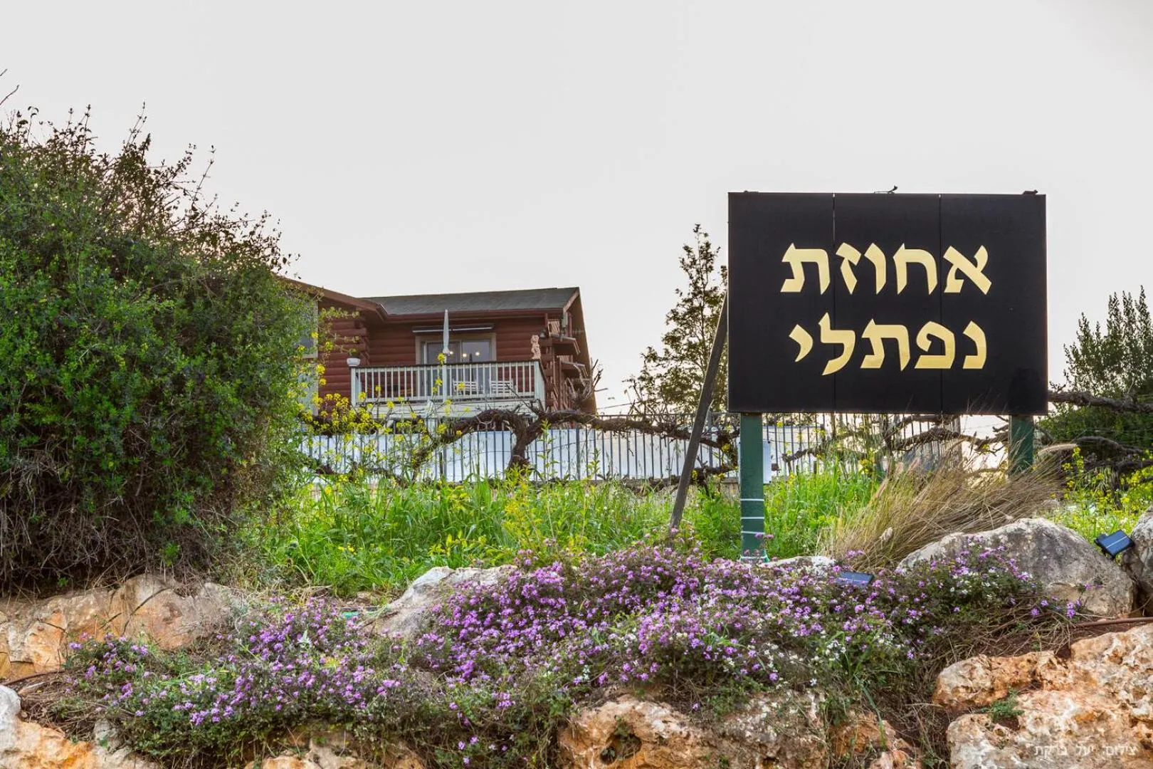 Property building in Vibe Naftali Estate