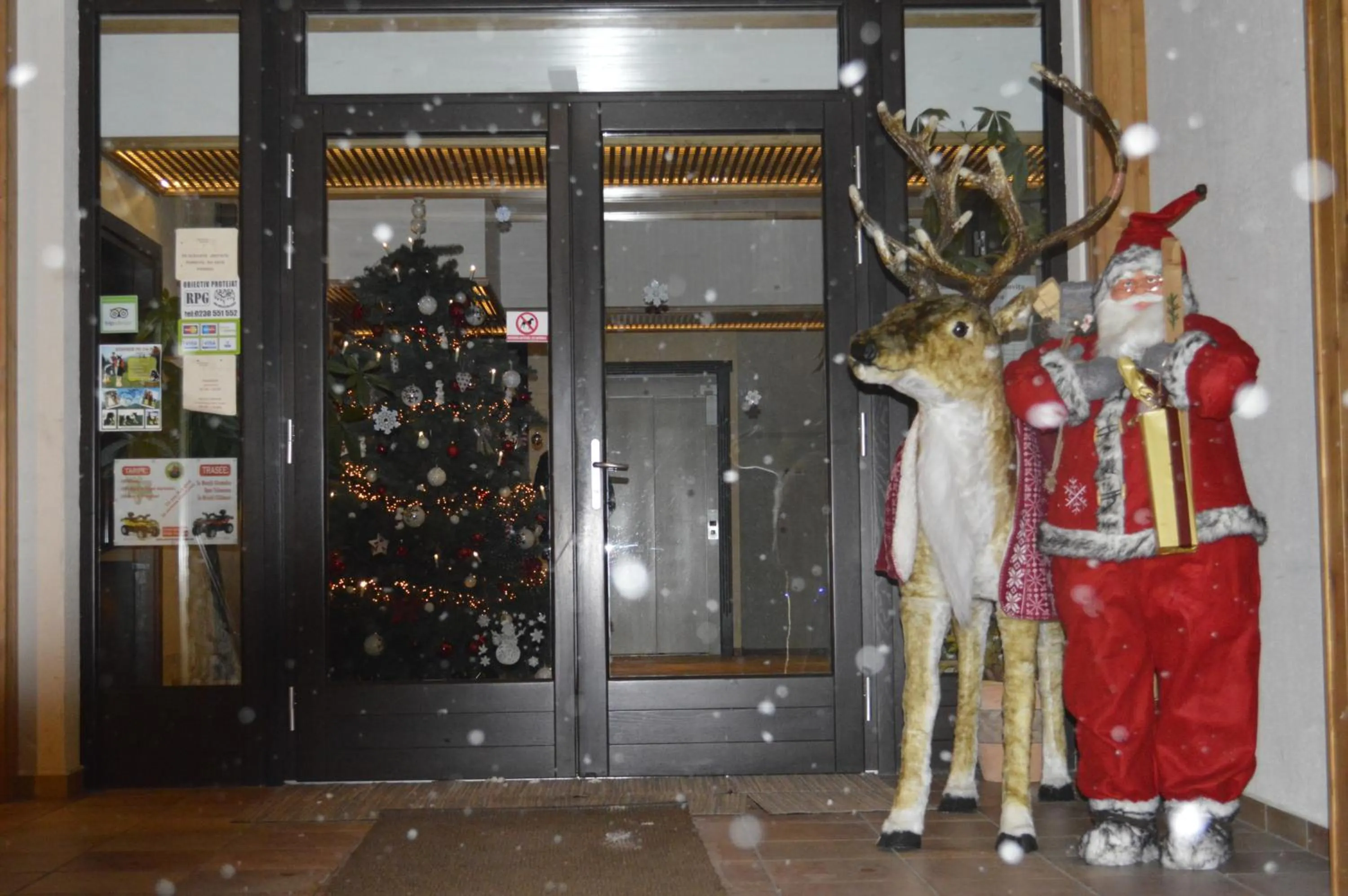 Winter in Domeniul Dornei